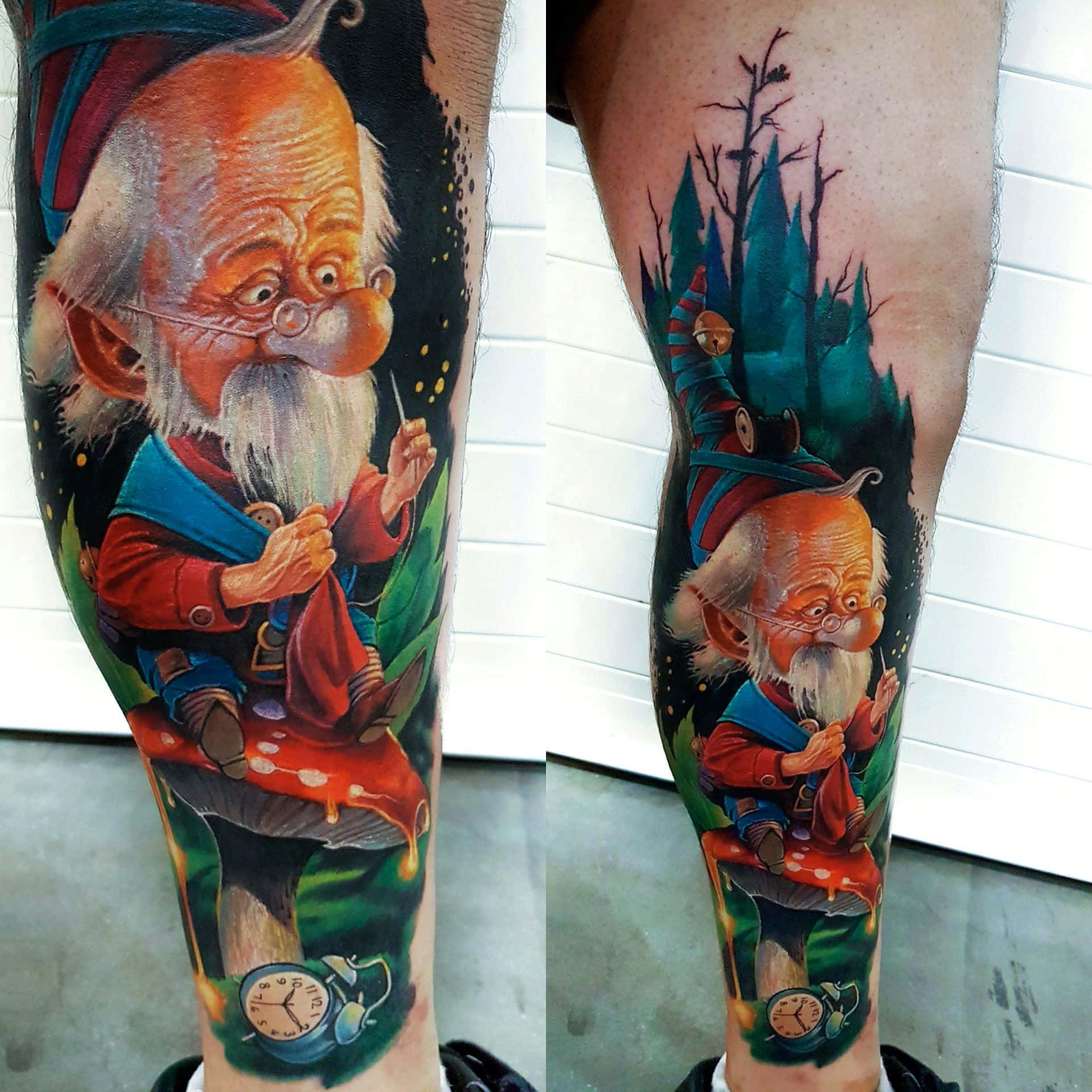enchanted gnome, bearded gnome, red and blue attire, Full HD Desktop Wallpaper