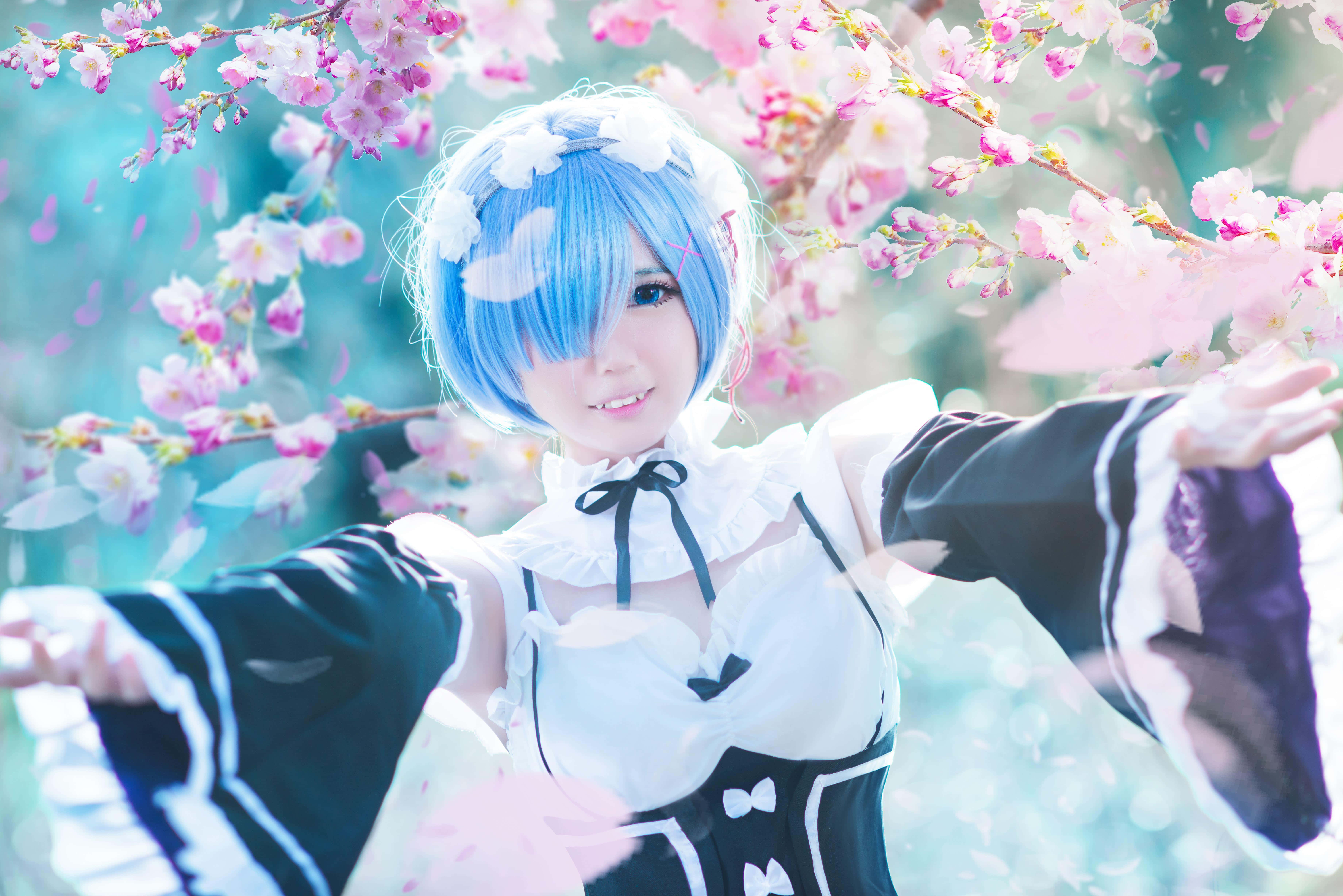 blue hair, maid outfit, cherry blossoms, 5K Desktop Wallpaper