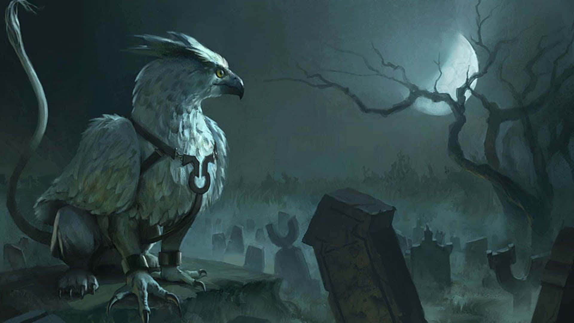 griffinin, moonlit graveyard, white feathers, Full HD Desktop Wallpaper