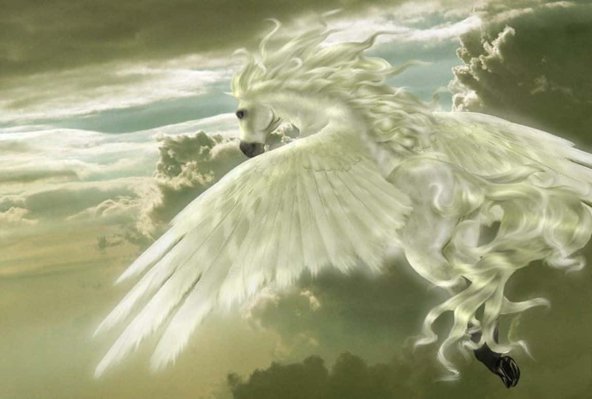 majestic pegasus, white winged horse, storm clouds, SD Desktop Wallpaper
