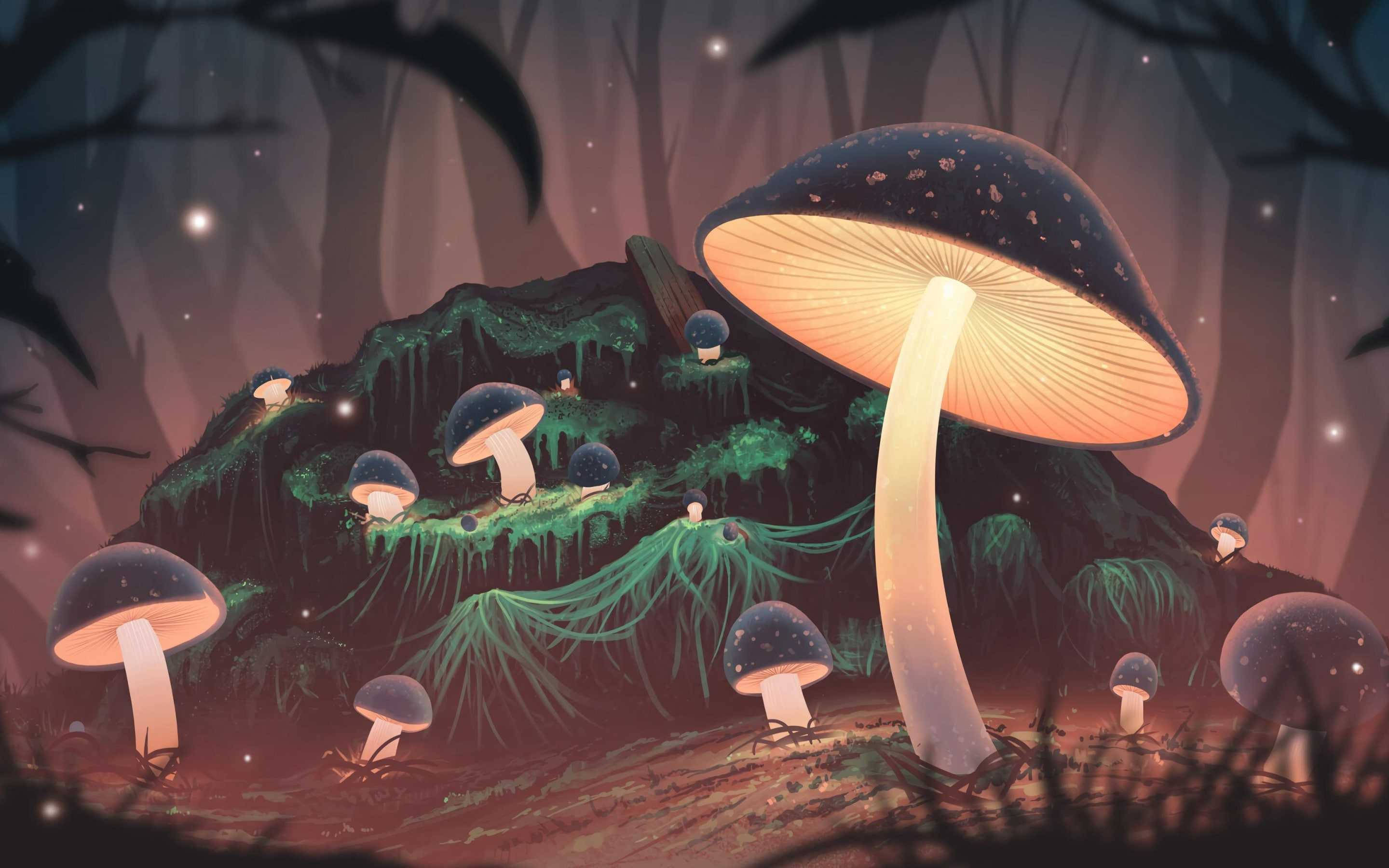 glowing mushrooms, mystical forest floor, twilight canopy, 2K Desktop Wallpaper