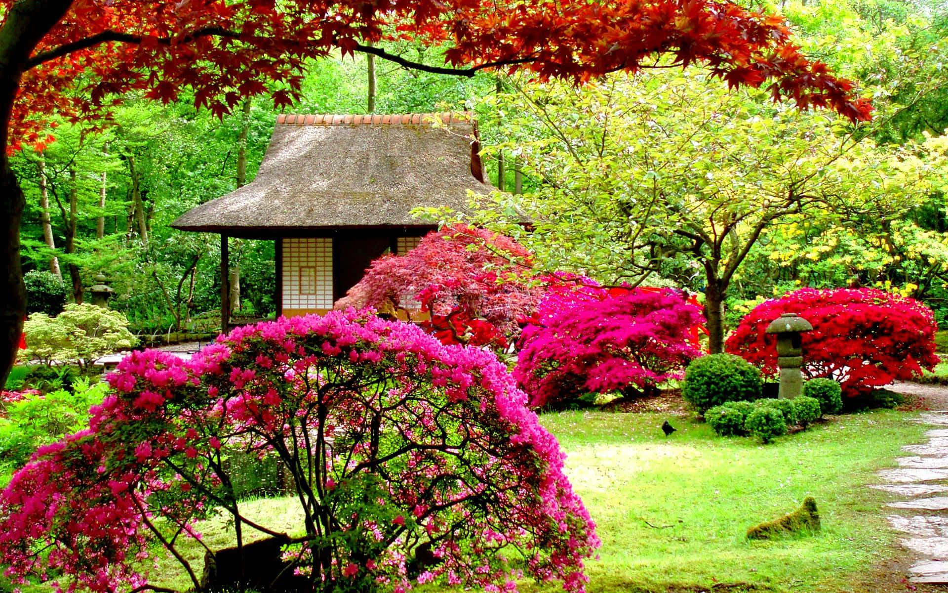 enchanted japanese garden, pink azaleas, fiery red maple leaves, Full HD Desktop Wallpaper