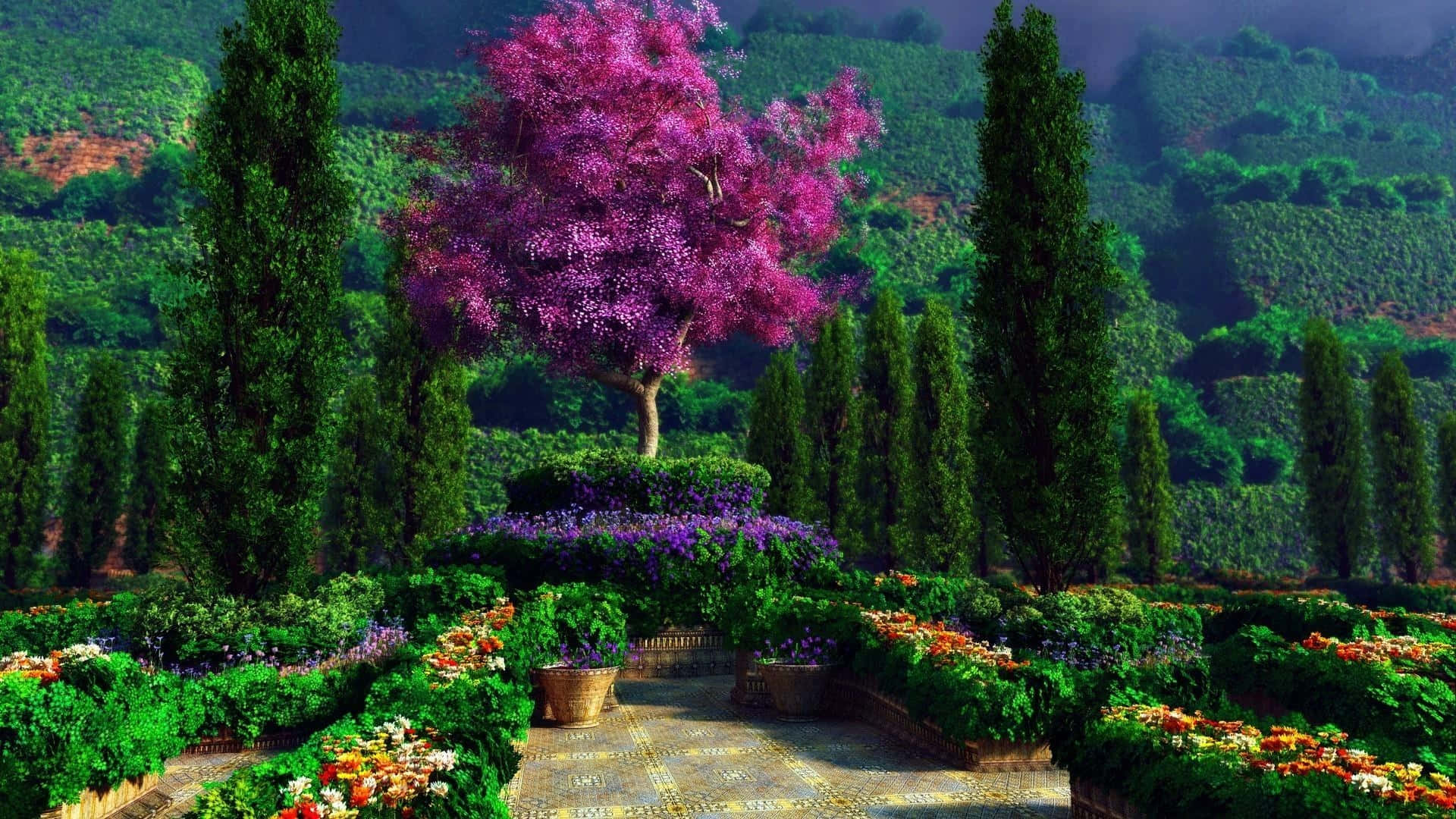 enchanted purple tree garden, purple flowering tree, cypress, Full HD Desktop Wallpaper