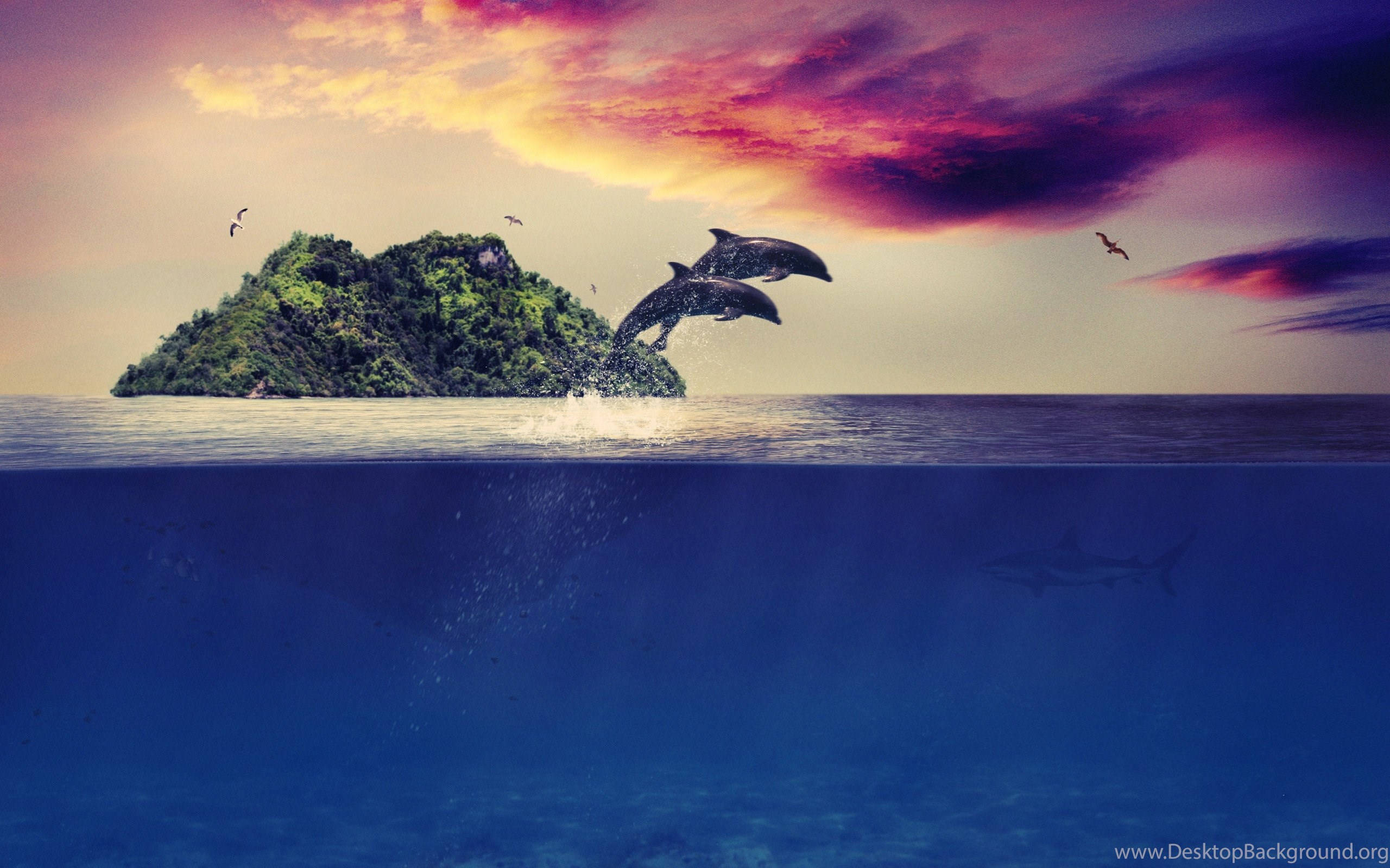 Fantasy Island, dolphins, vibrant blue ocean, 2K Desktop Wallpaper