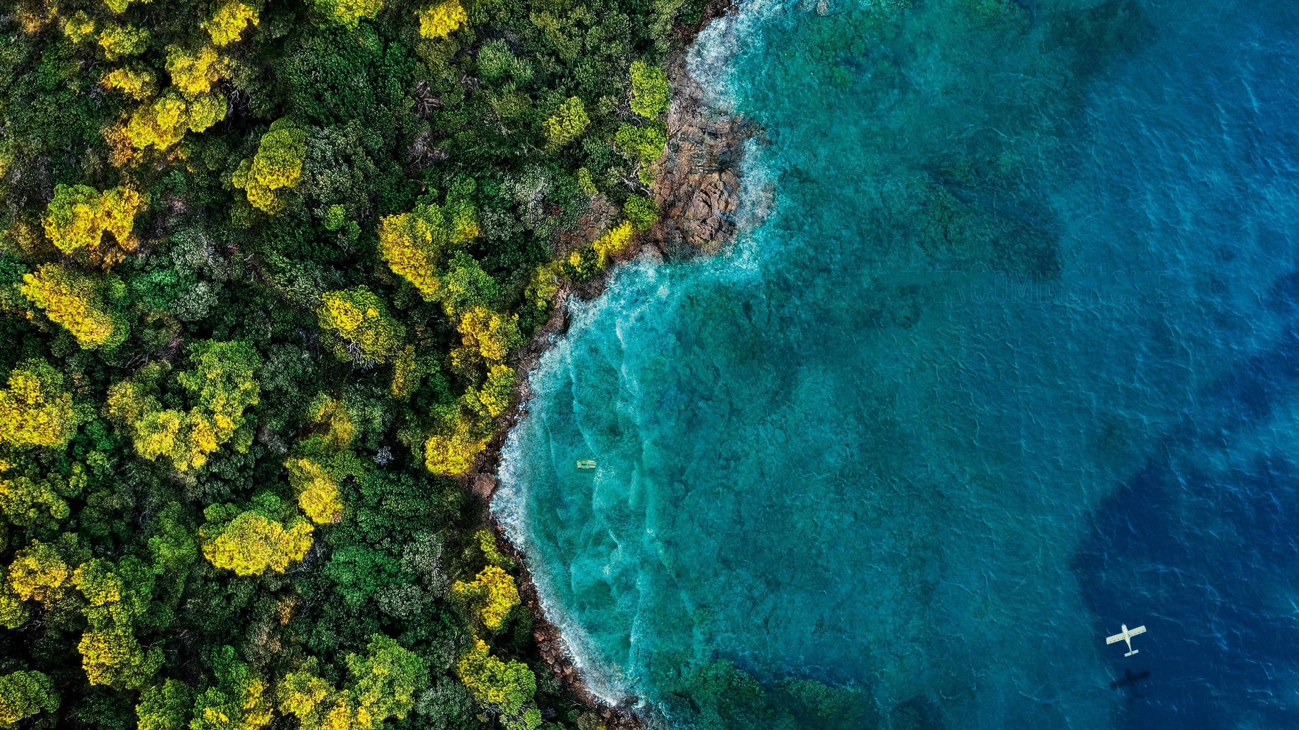 Fantasy Island, turquoise ocean, lush green and yellow forested coastline, 2K Desktop Wallpaper