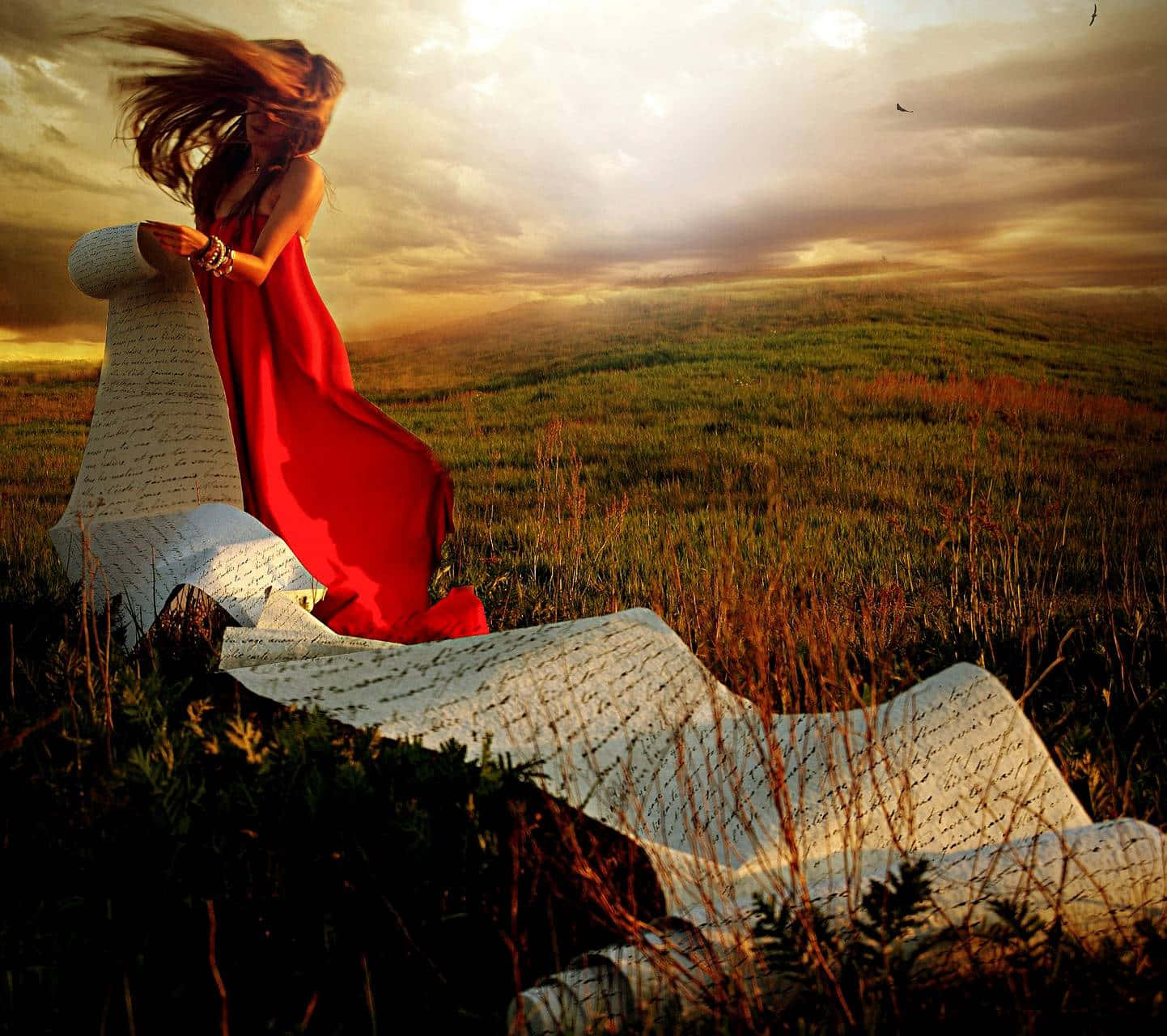 giant open book, golden sunset field, flowing red dress, HD Desktop Wallpaper