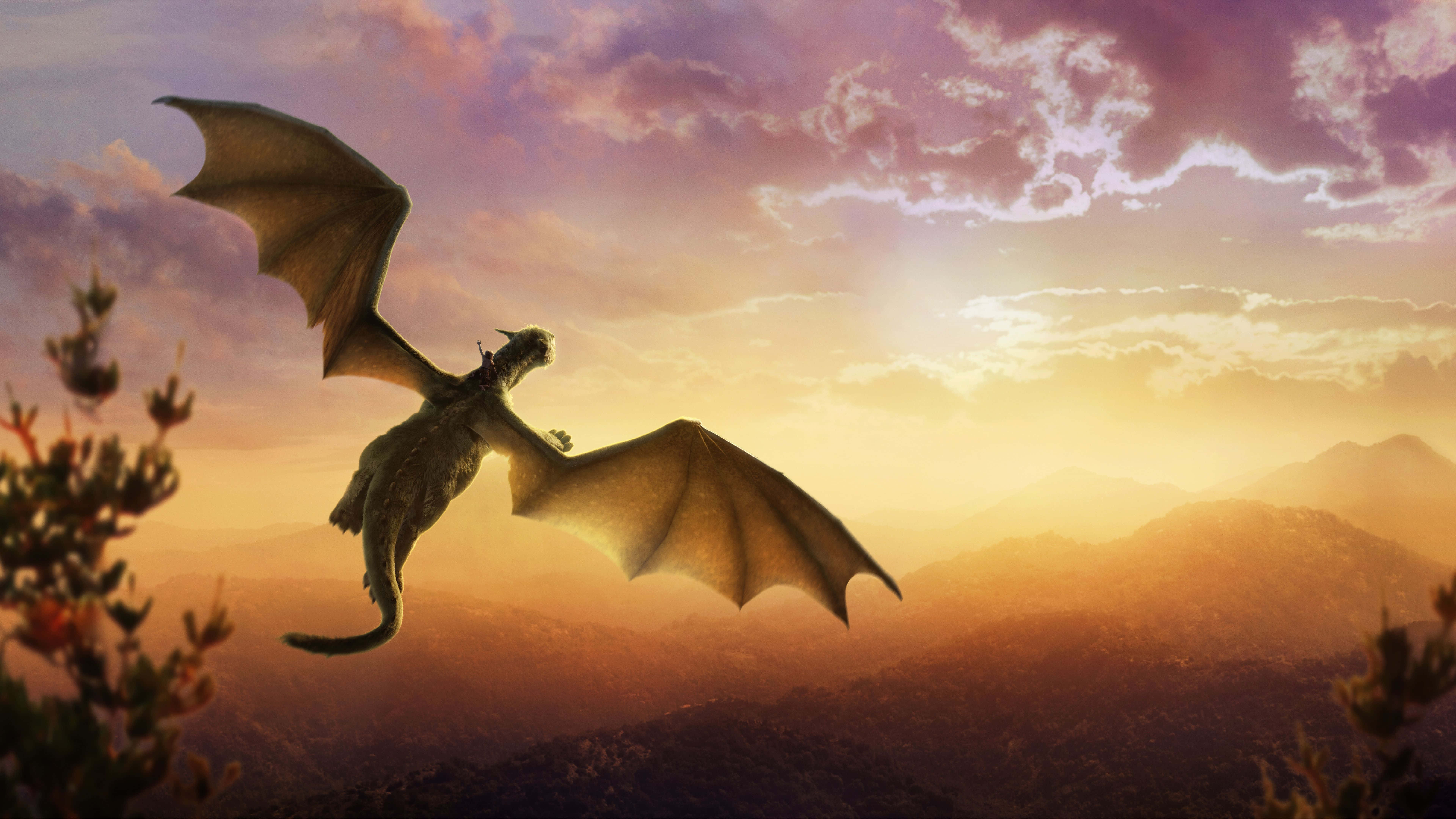 majestic dragon, sunset sky, misty mountains, 8K Desktop Wallpaper