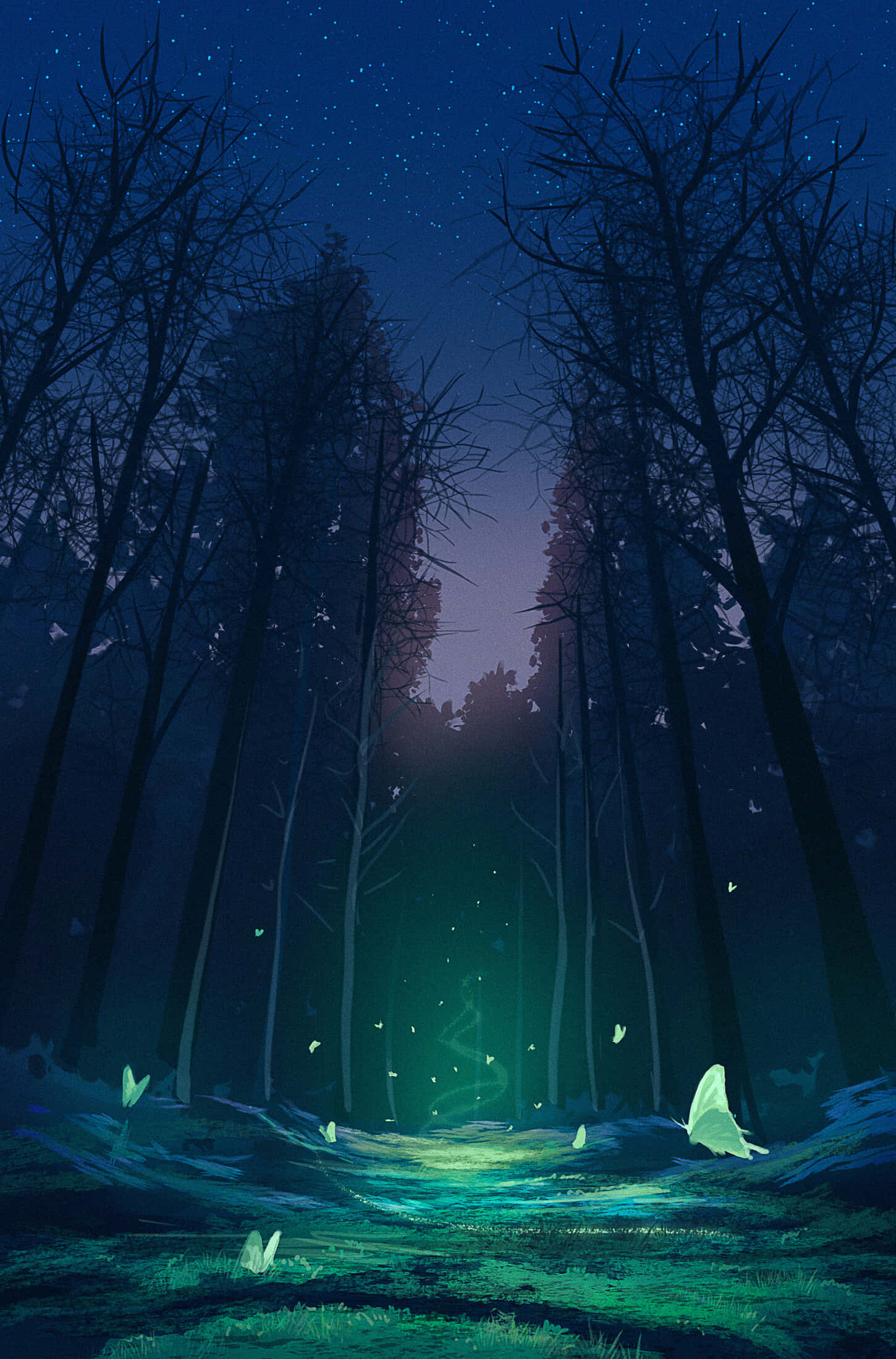 Fantasy Phone, Forest, Luminous, Full HD Phone Wallpaper