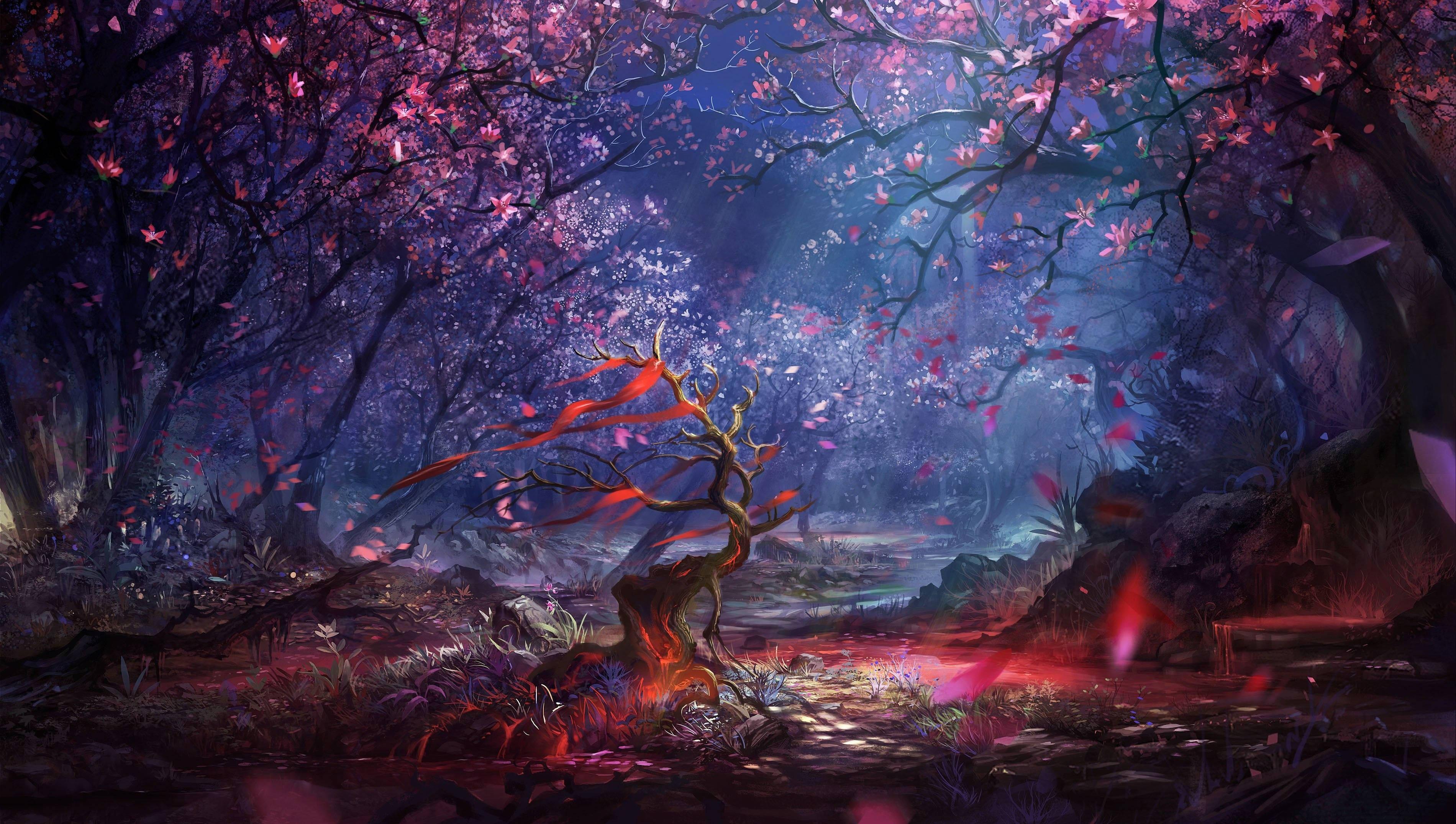 fantasy, night forest, twilight, 2K Desktop Wallpaper