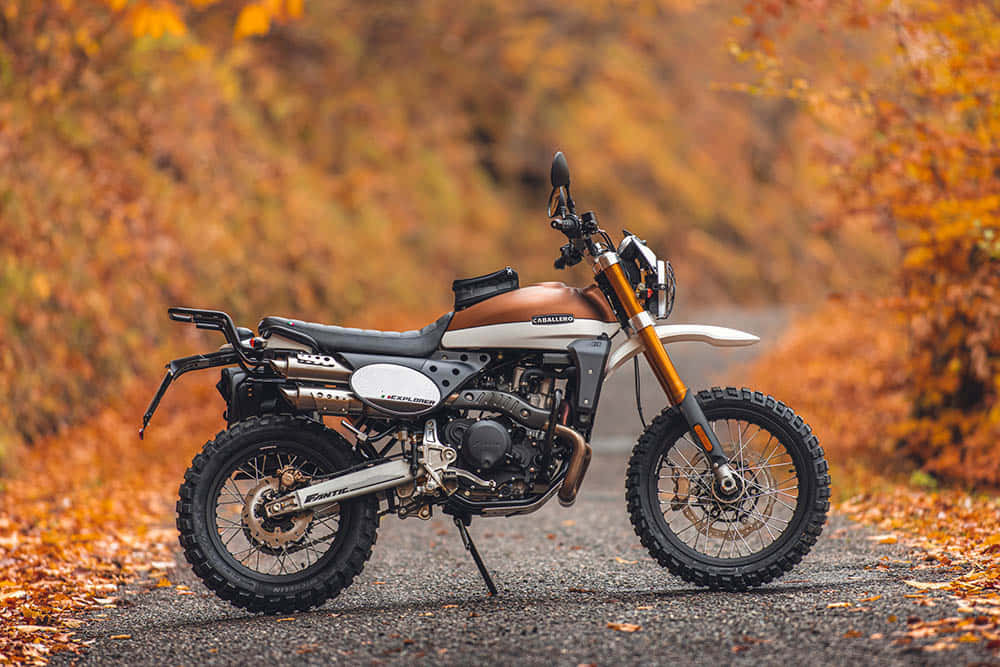 Fantic, motorcycle, autumn, SD Desktop Wallpaper