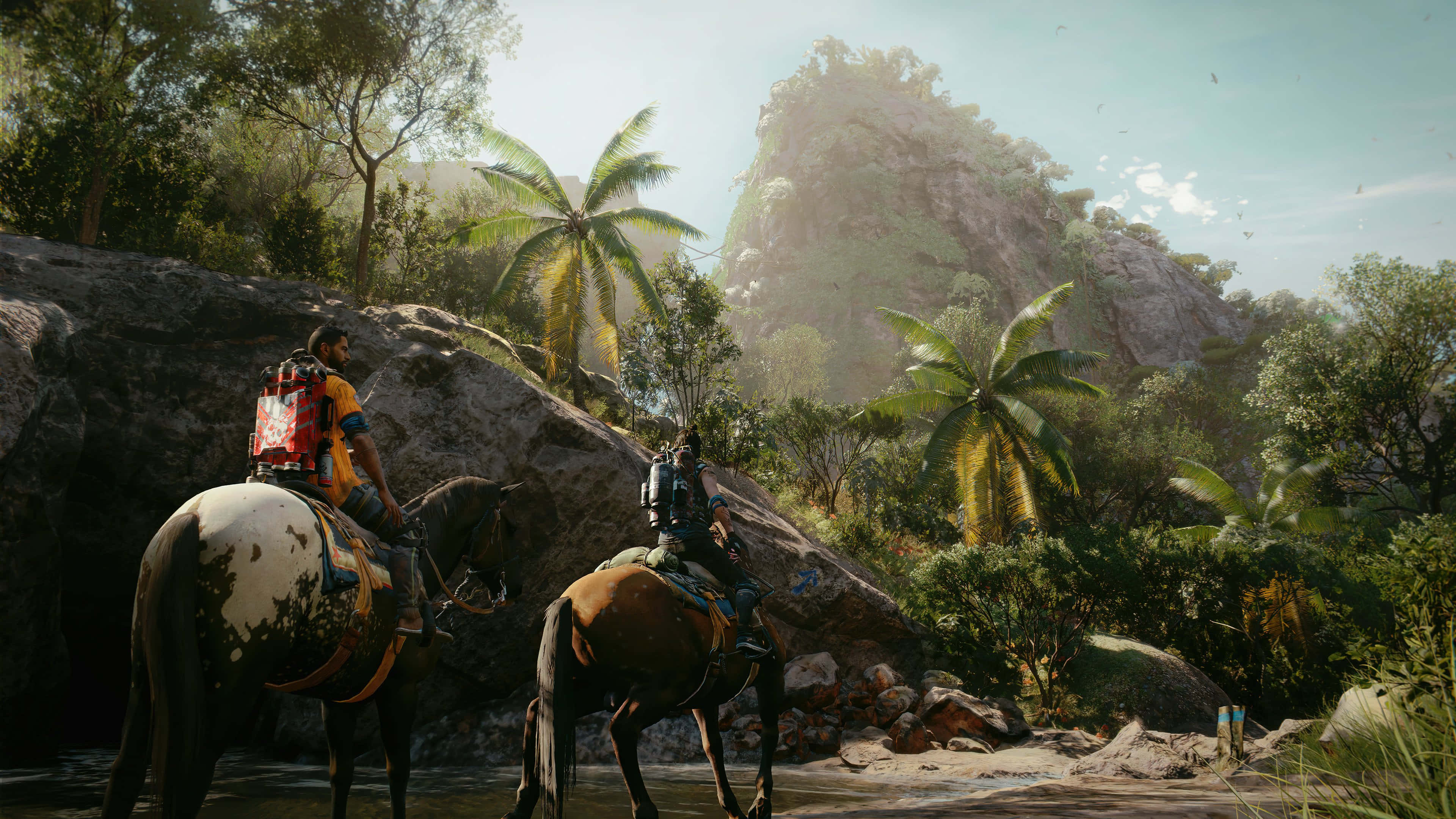 Far Cry, tropical jungle, palm trees, 4K Desktop Wallpaper