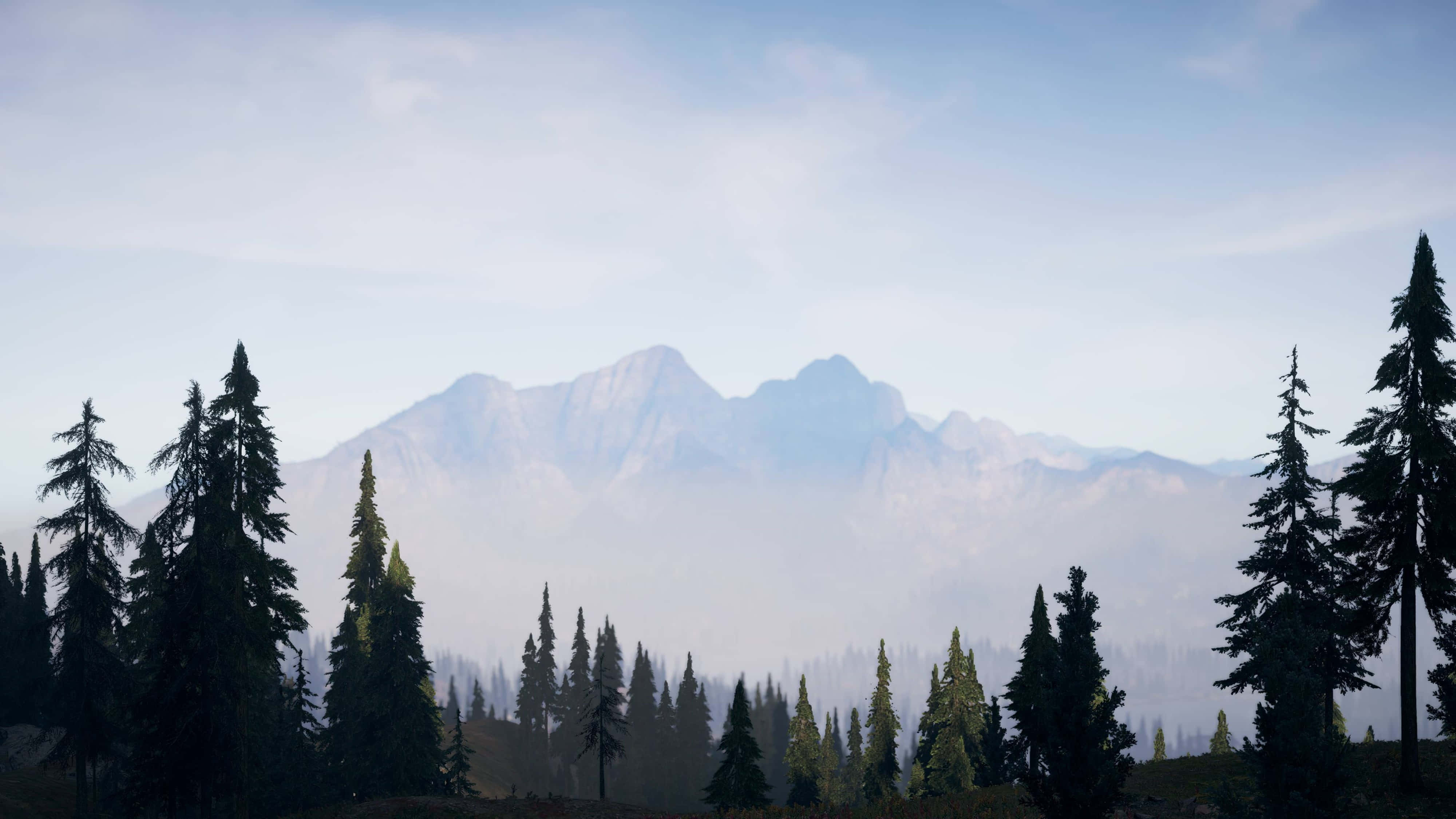 Far Cry 5, 4K Ultra HD, evergreen trees, 4K Desktop Wallpaper