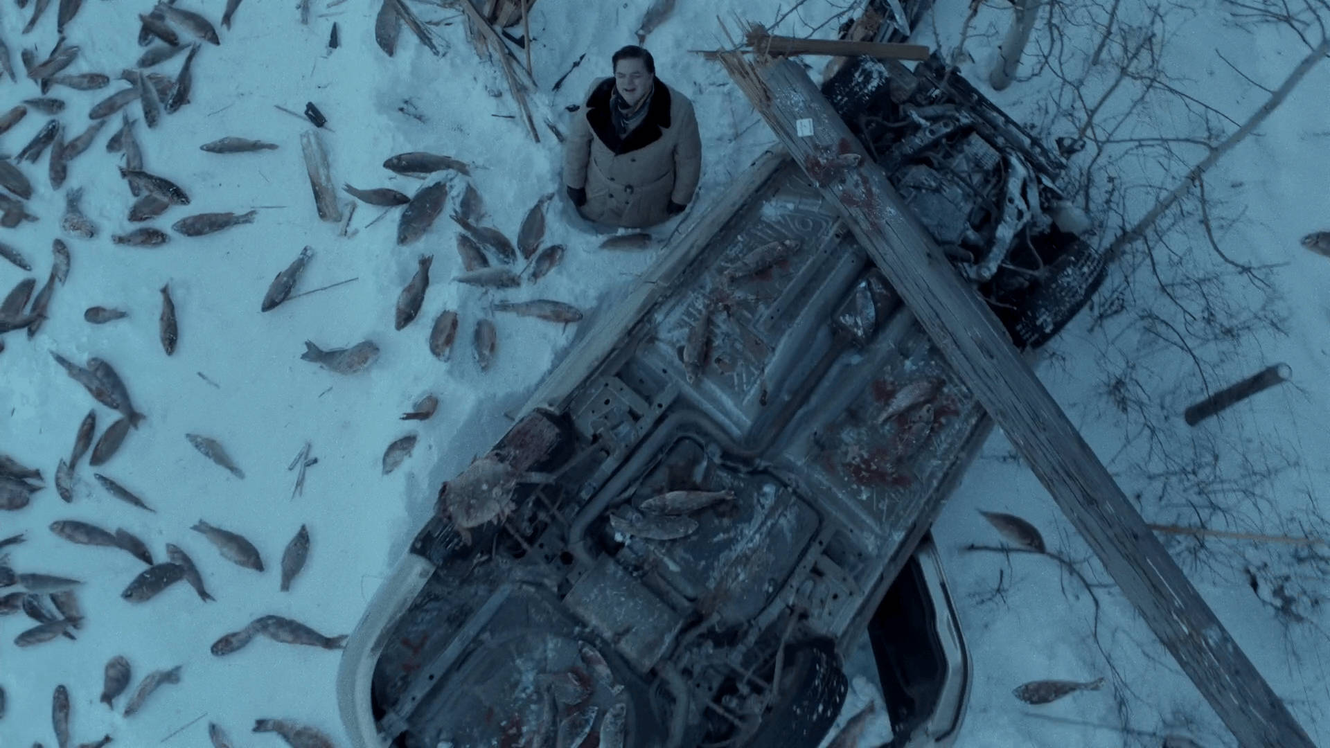 Fargo, frozen fish, winter coat, Full HD Desktop Wallpaper