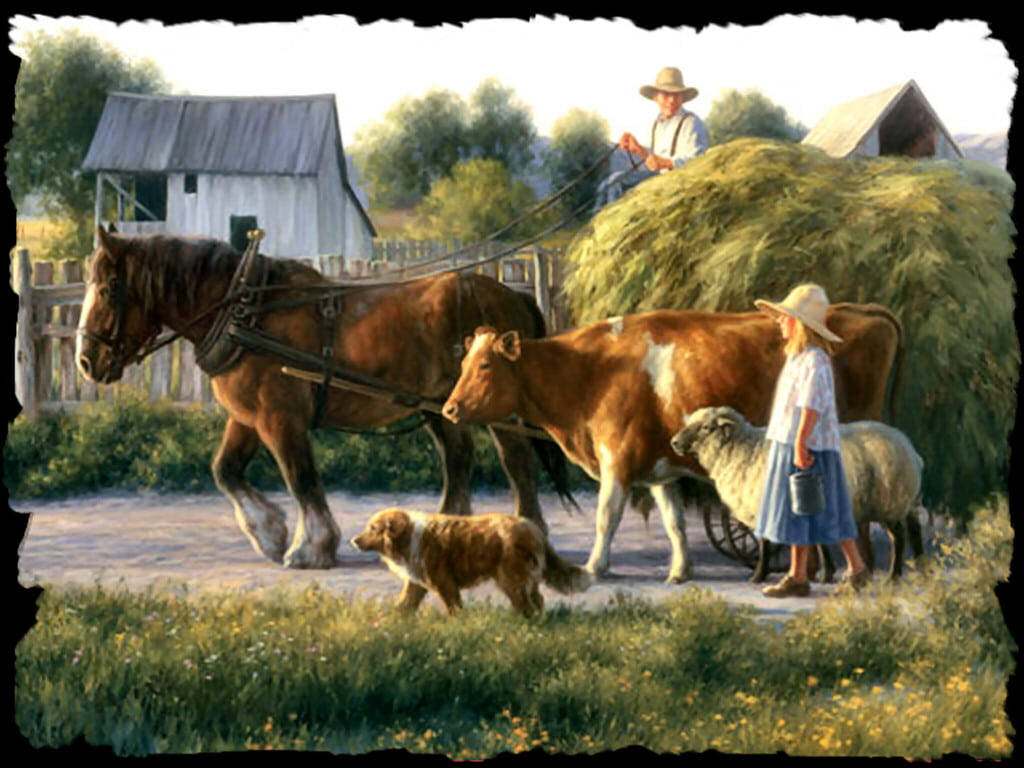 horse, straw bales, farmer, SD Desktop Wallpaper