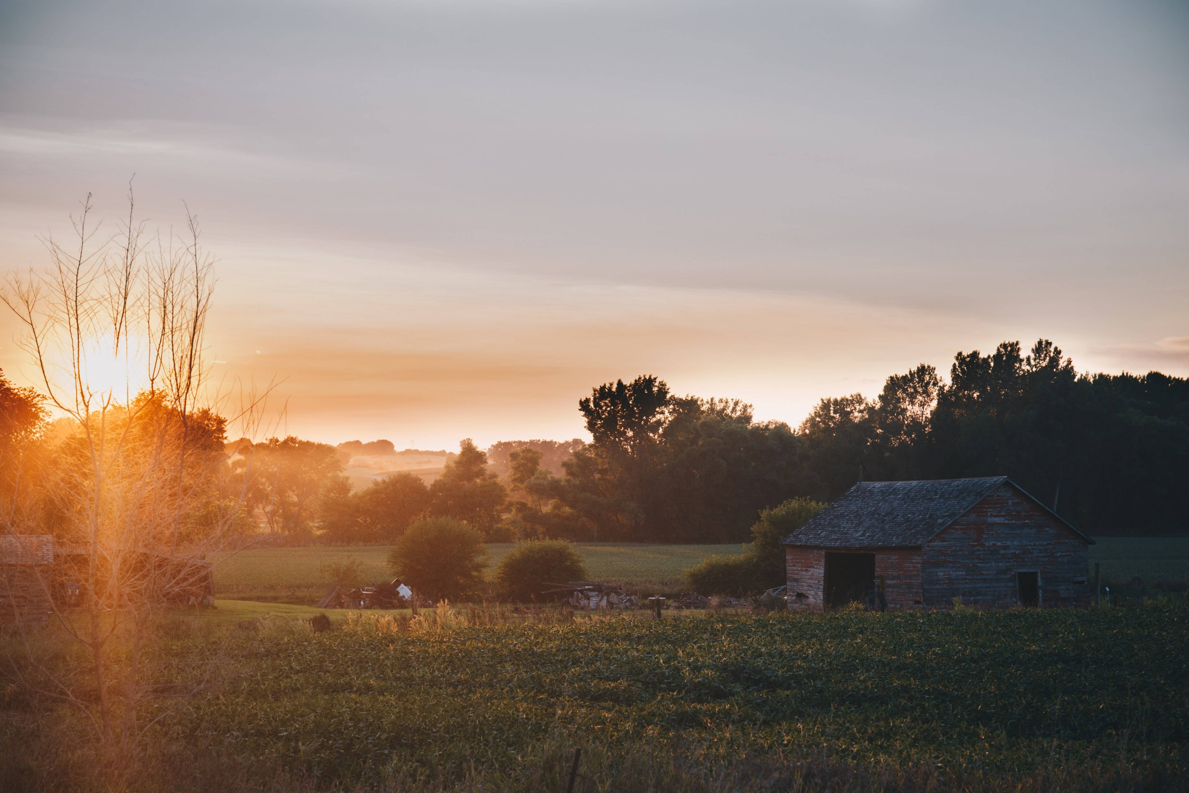 Farm Desktop, rustic wooden barn, misty field, 4K Desktop Wallpaper