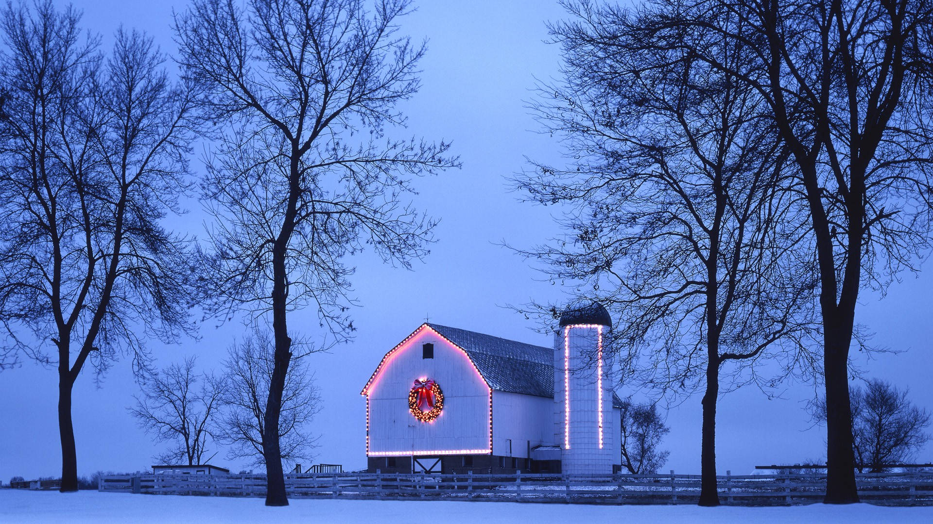 barn, Christmas tree, snow, Full HD Desktop Wallpaper