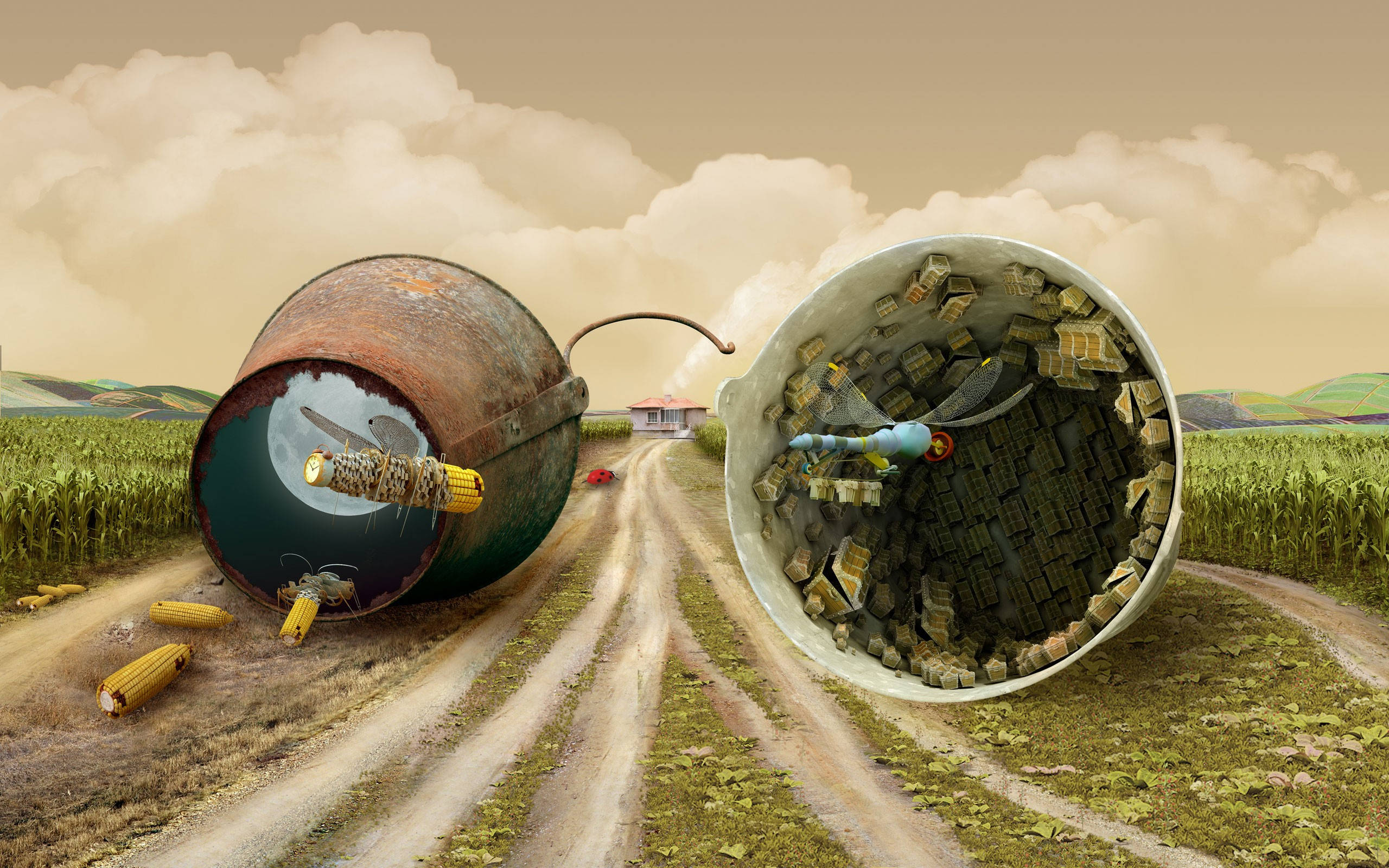 farm, dirt road, field, 2K Desktop Wallpaper