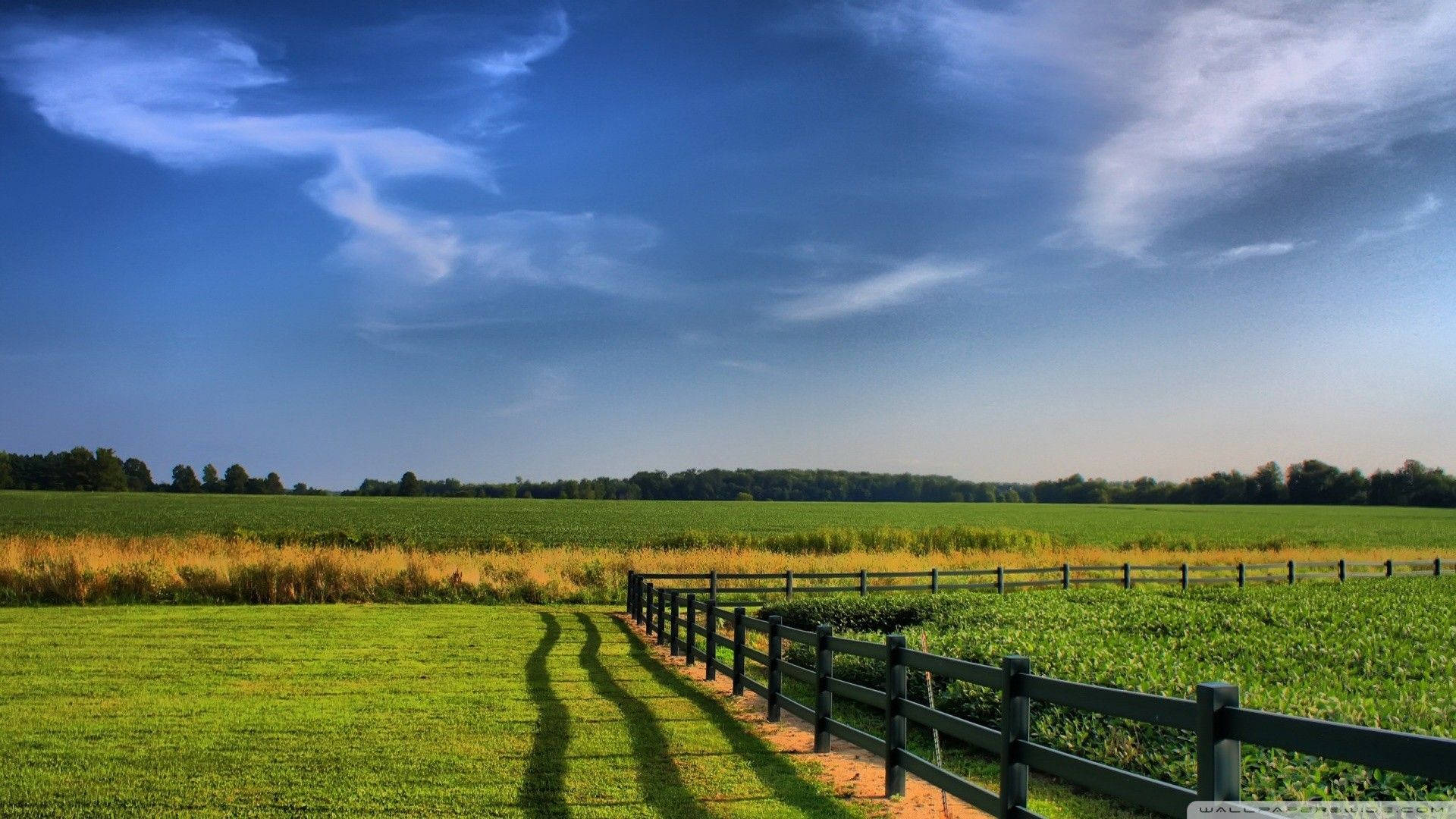 rural farm, winding dirt path, fence shadows, Full HD Desktop Wallpaper