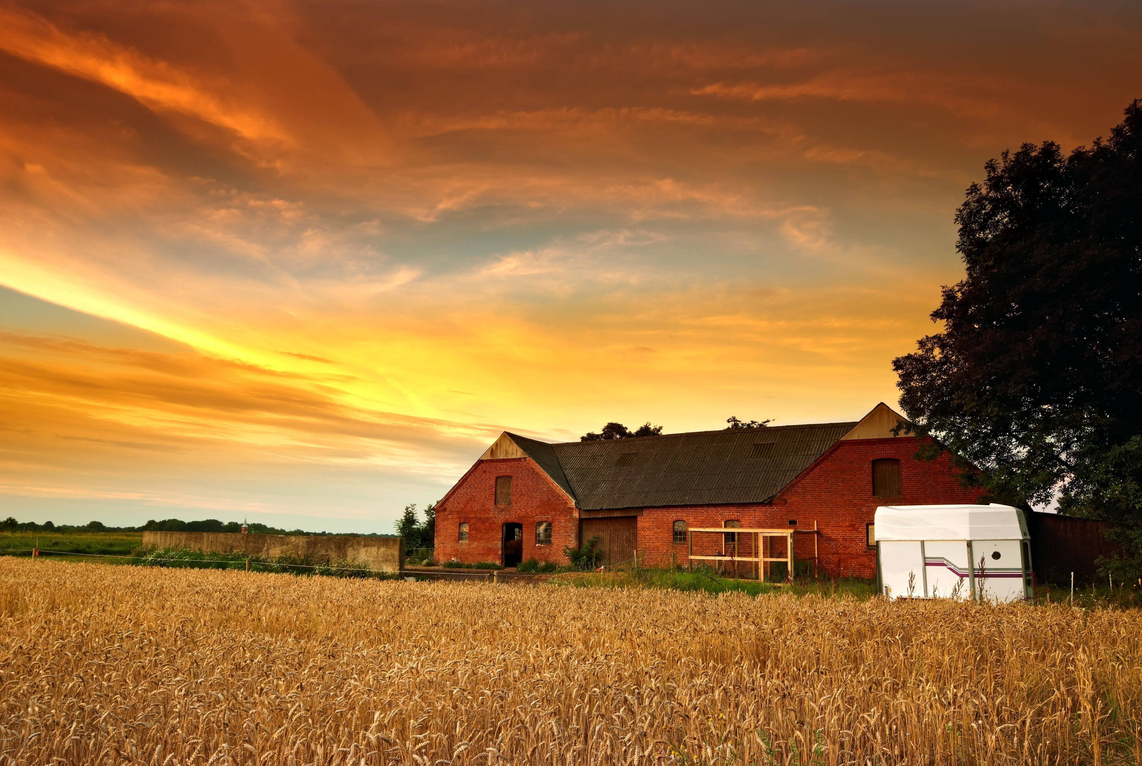 red brick barn, golden wheat field, fiery orange and yellow sunset sky, 2K Desktop Wallpaper