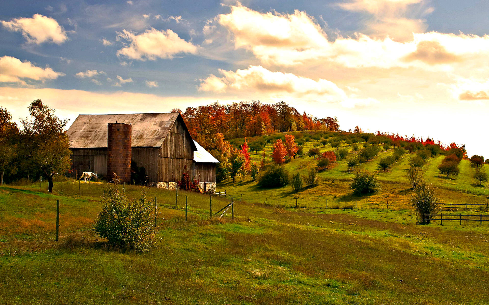 Green Farm Desktop, rustic wooden barn, sunlit hillside, Full HD Desktop Wallpaper