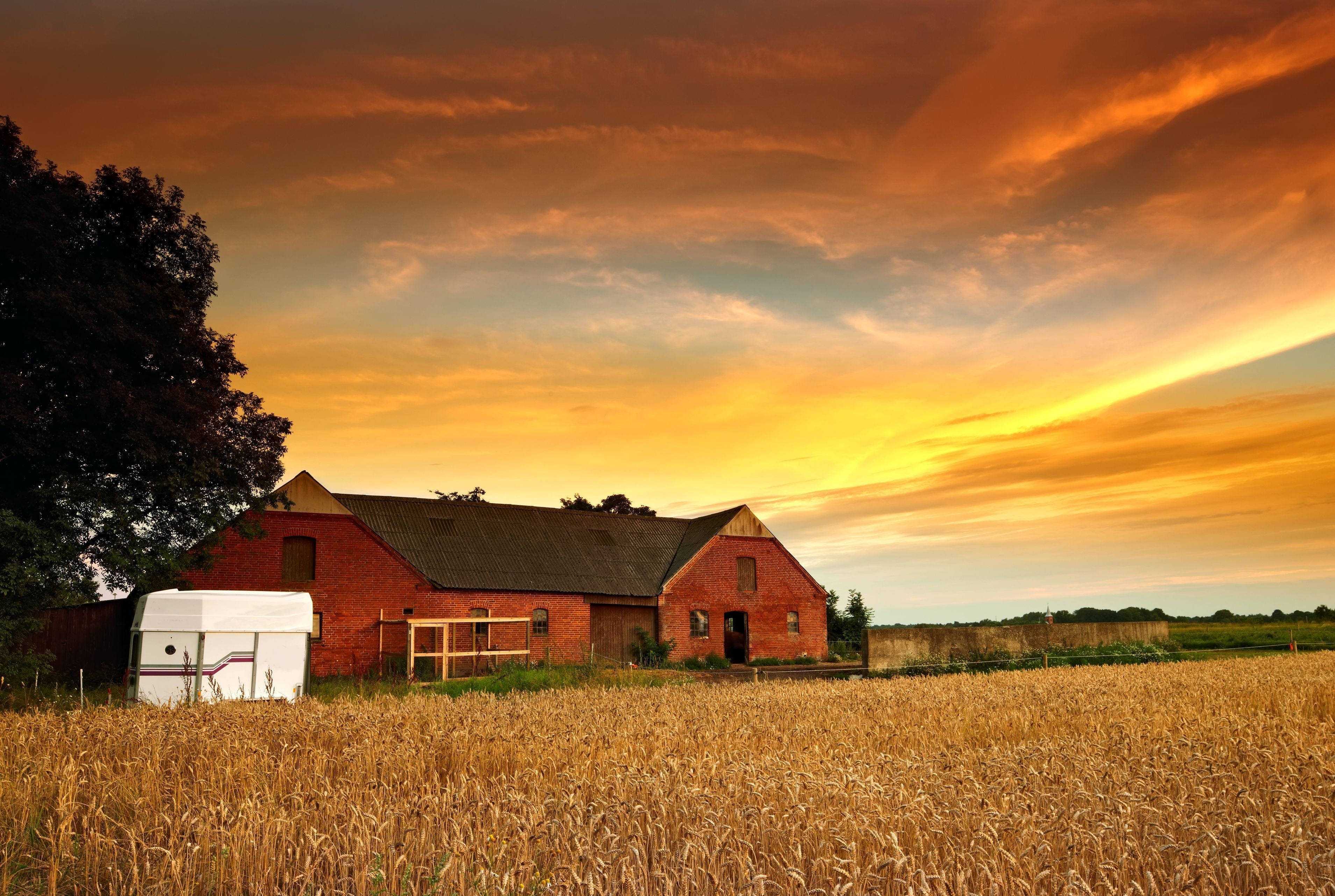 red brick barn, golden wheat field, fiery orange and yellow sunset sky, 2K Desktop Wallpaper