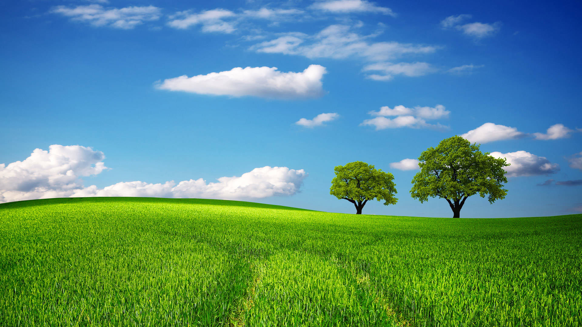 Farm Desktop, green trees, vibrant rolling meadow, Full HD Desktop Wallpaper