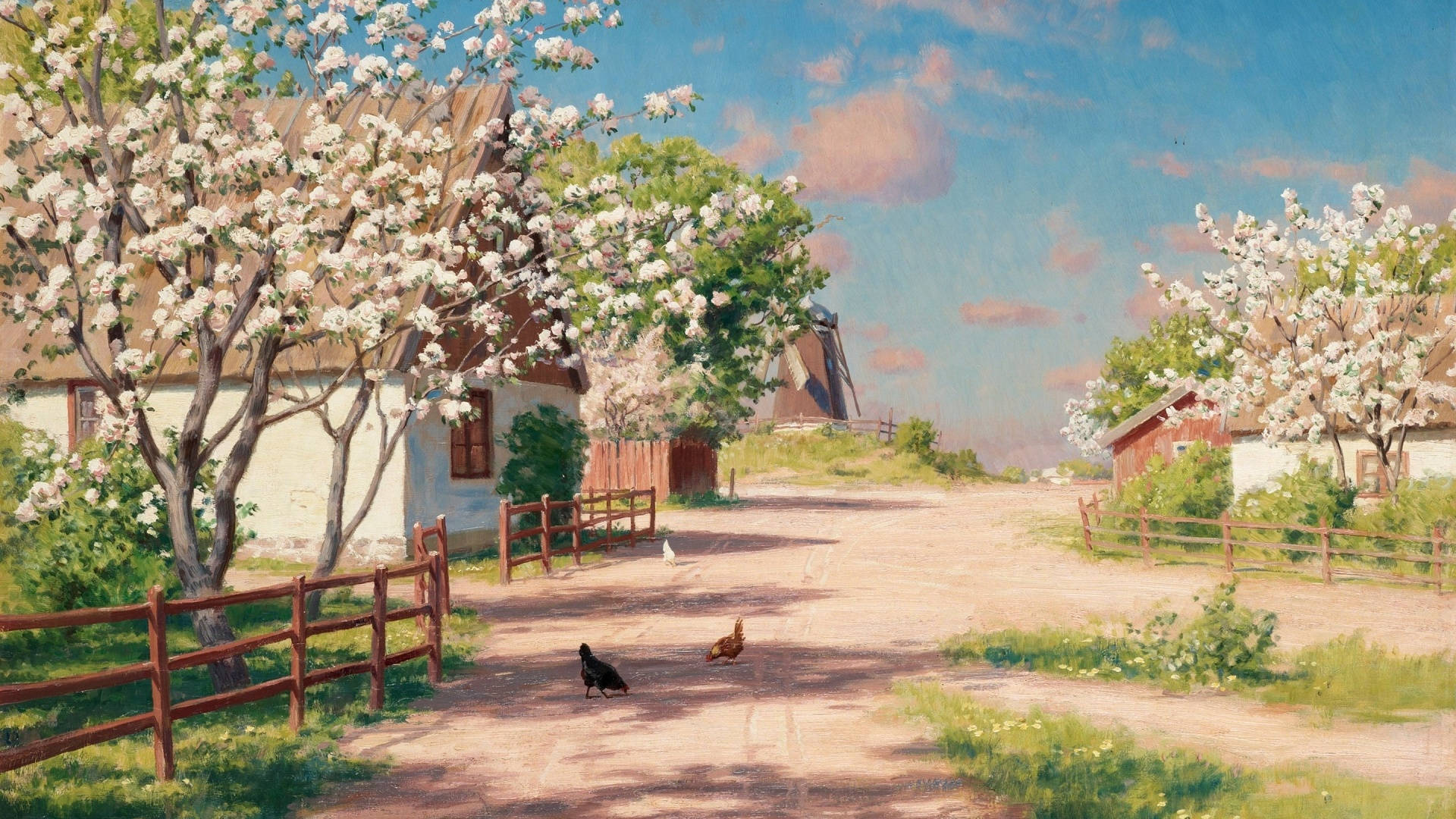Farm Desktop, sunlit rural lane, blooming white trees, Full HD Desktop Wallpaper