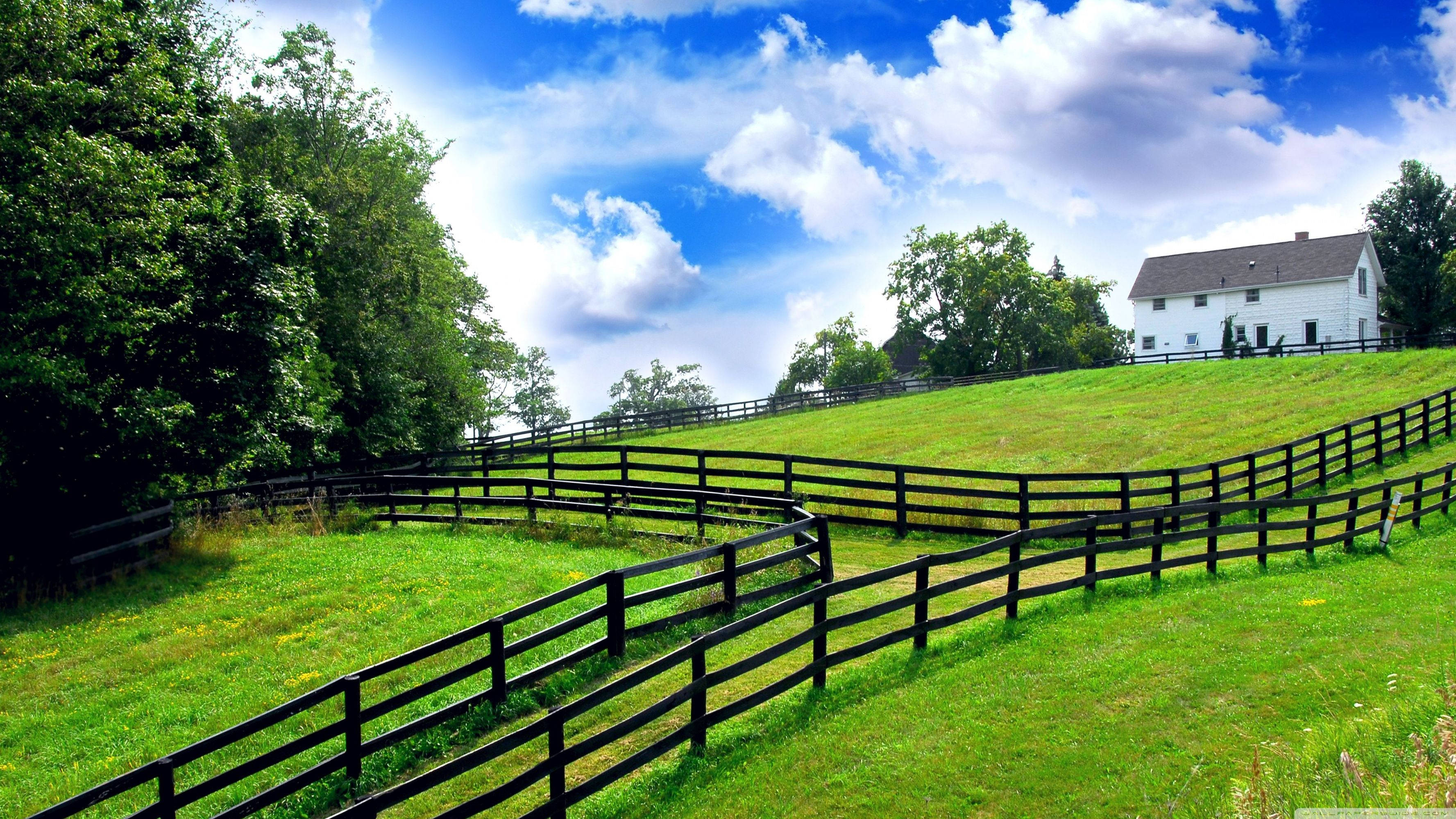 Farm Desktop, white farmhouse, lush green hill, 2K Desktop Wallpaper
