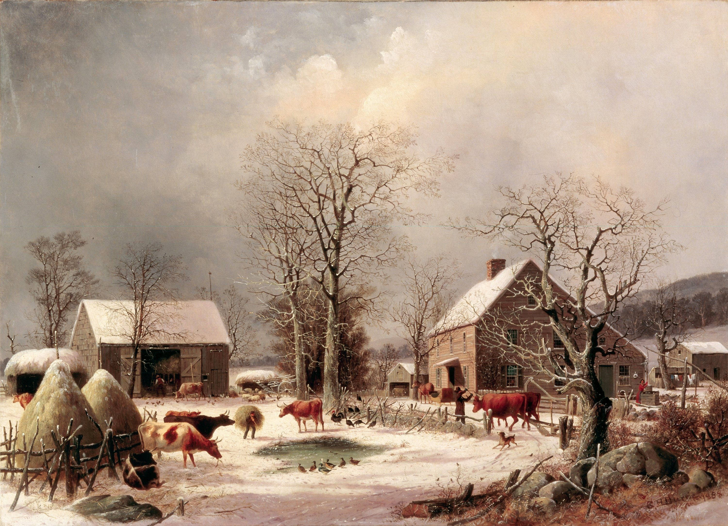 Rustic Farm Desktop, snowy winter farm scene, cows grazing, 2K Desktop Wallpaper