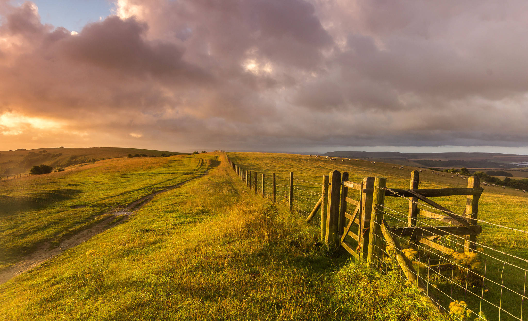 farm field, morning sun, winding dirt path, Full HD Desktop Wallpaper