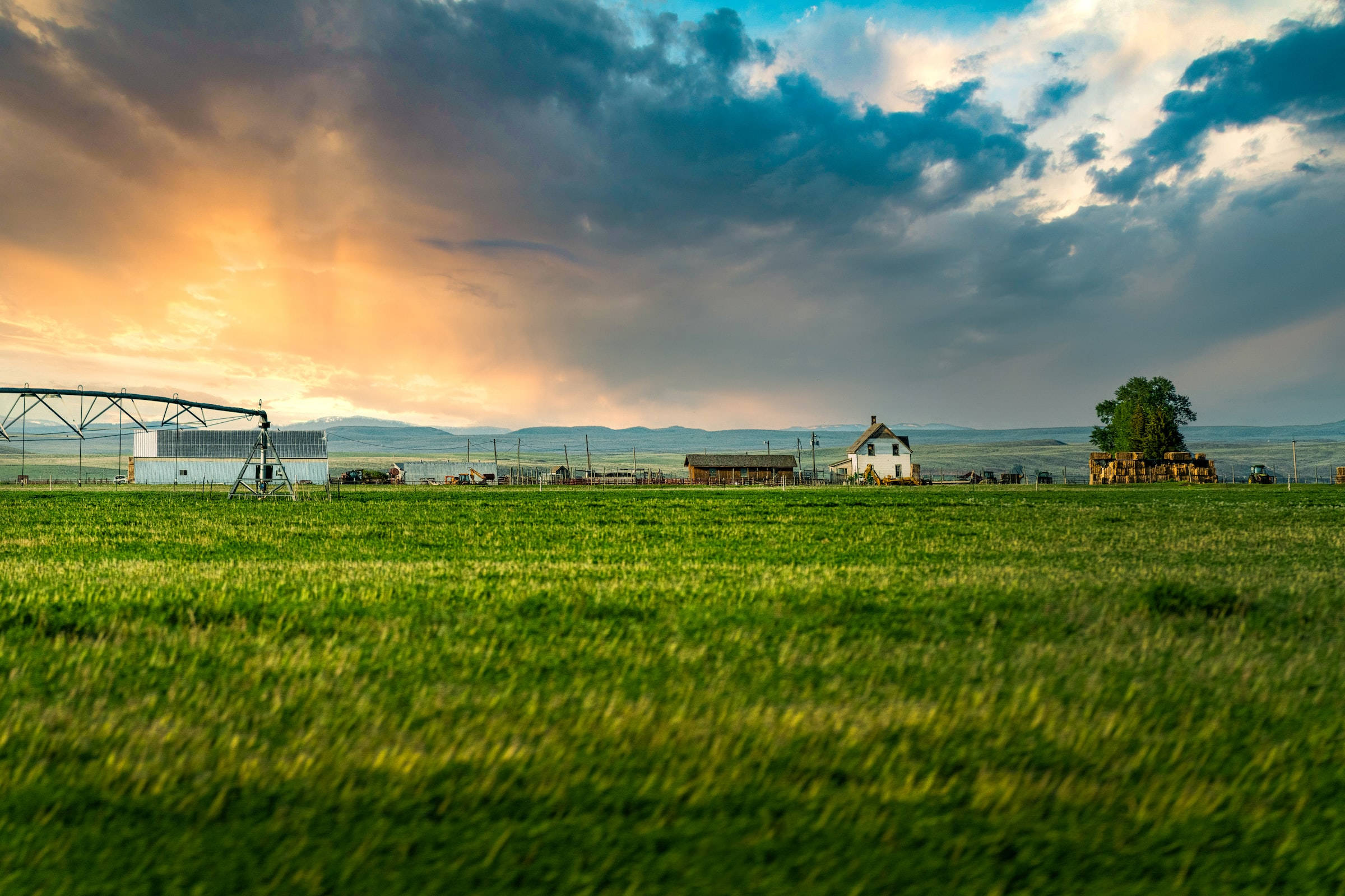 verdant rice fields, farmstead, small village, Full HD Desktop Wallpaper