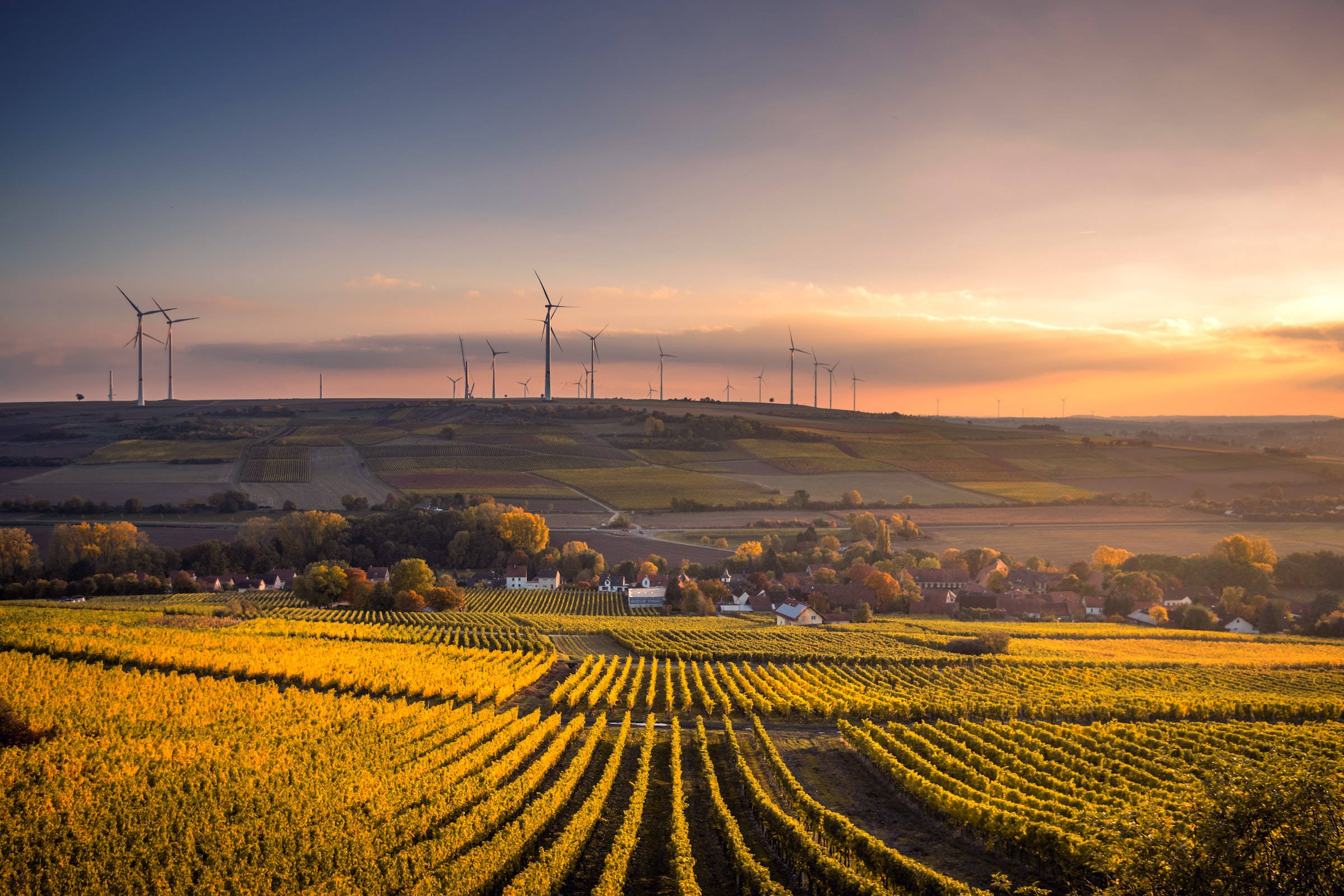 vineyard farm, village, wind vanes, Full HD Desktop Wallpaper