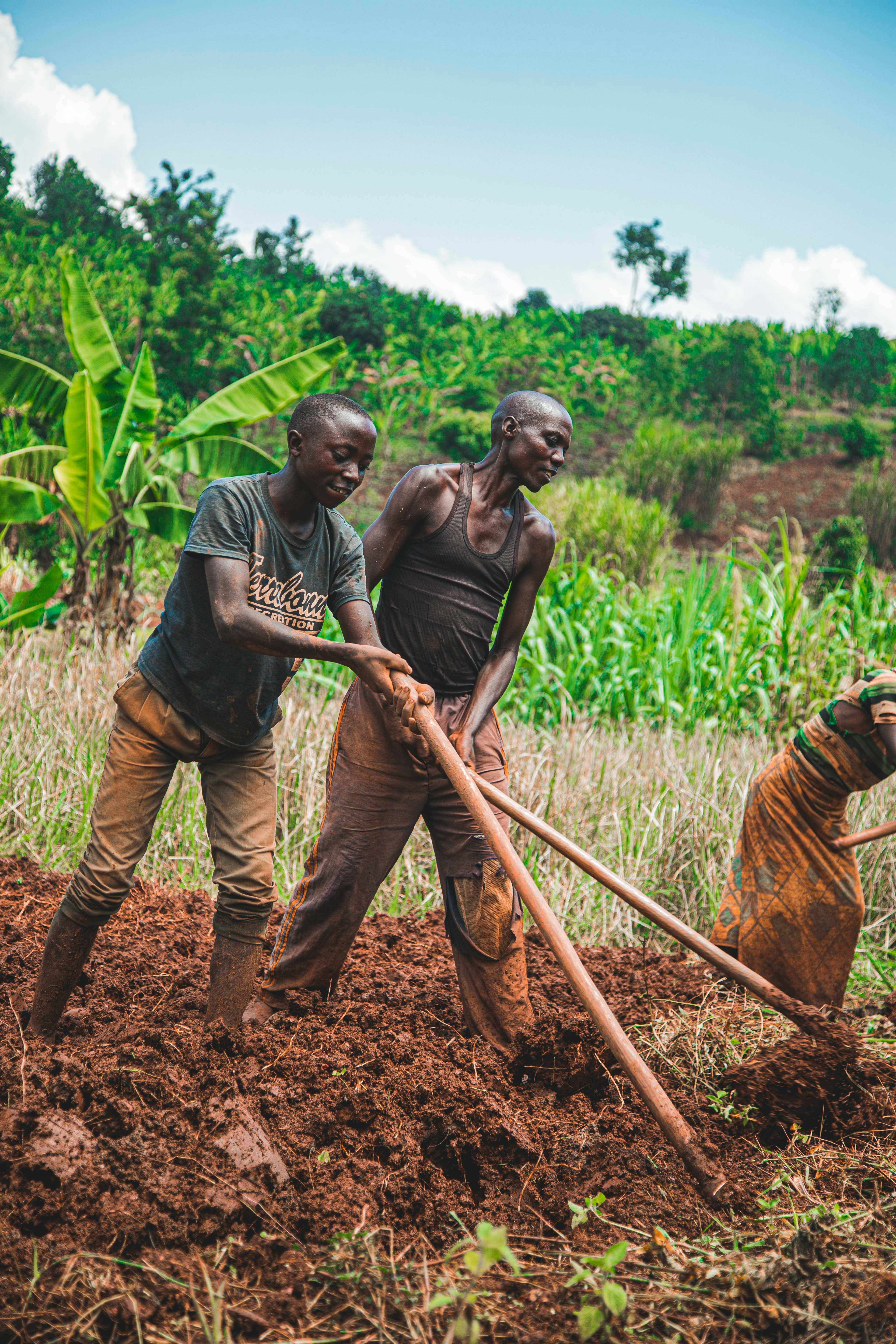 Farm, young farmers, long-handled hoes, 5K Phone Wallpaper