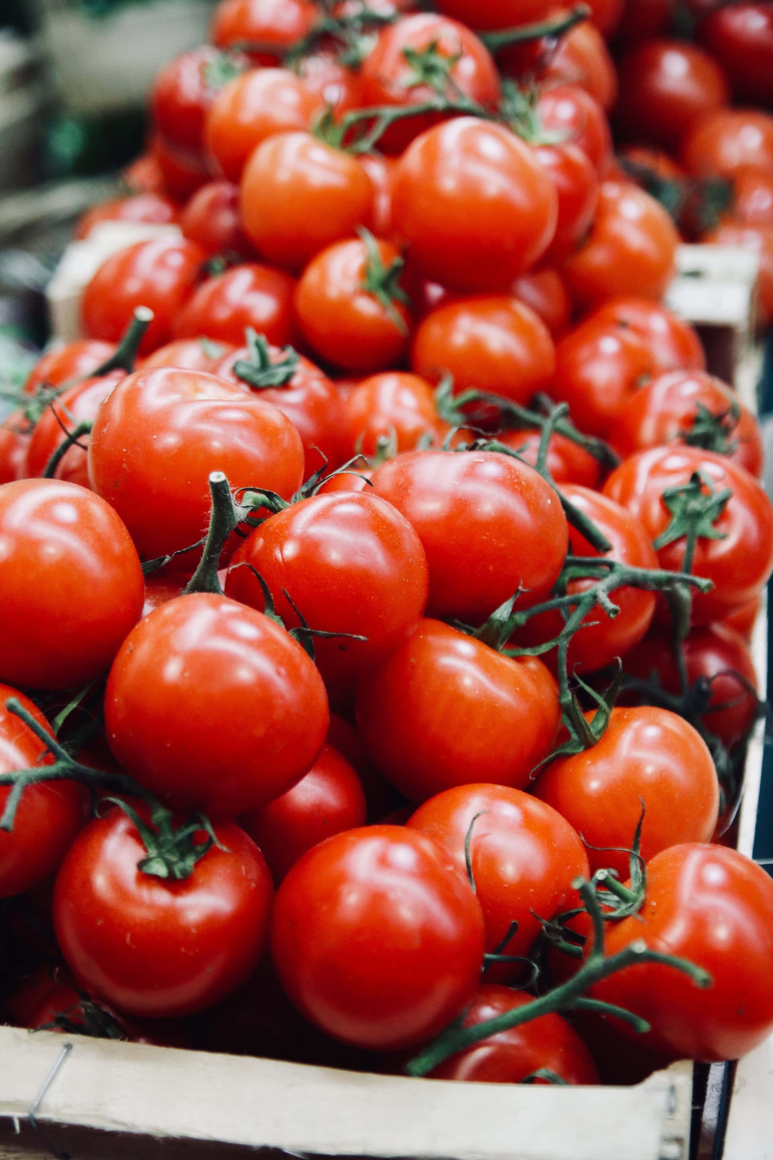 Farmers Market, ripe red tomatoes, green stems, 2K Phone Wallpaper