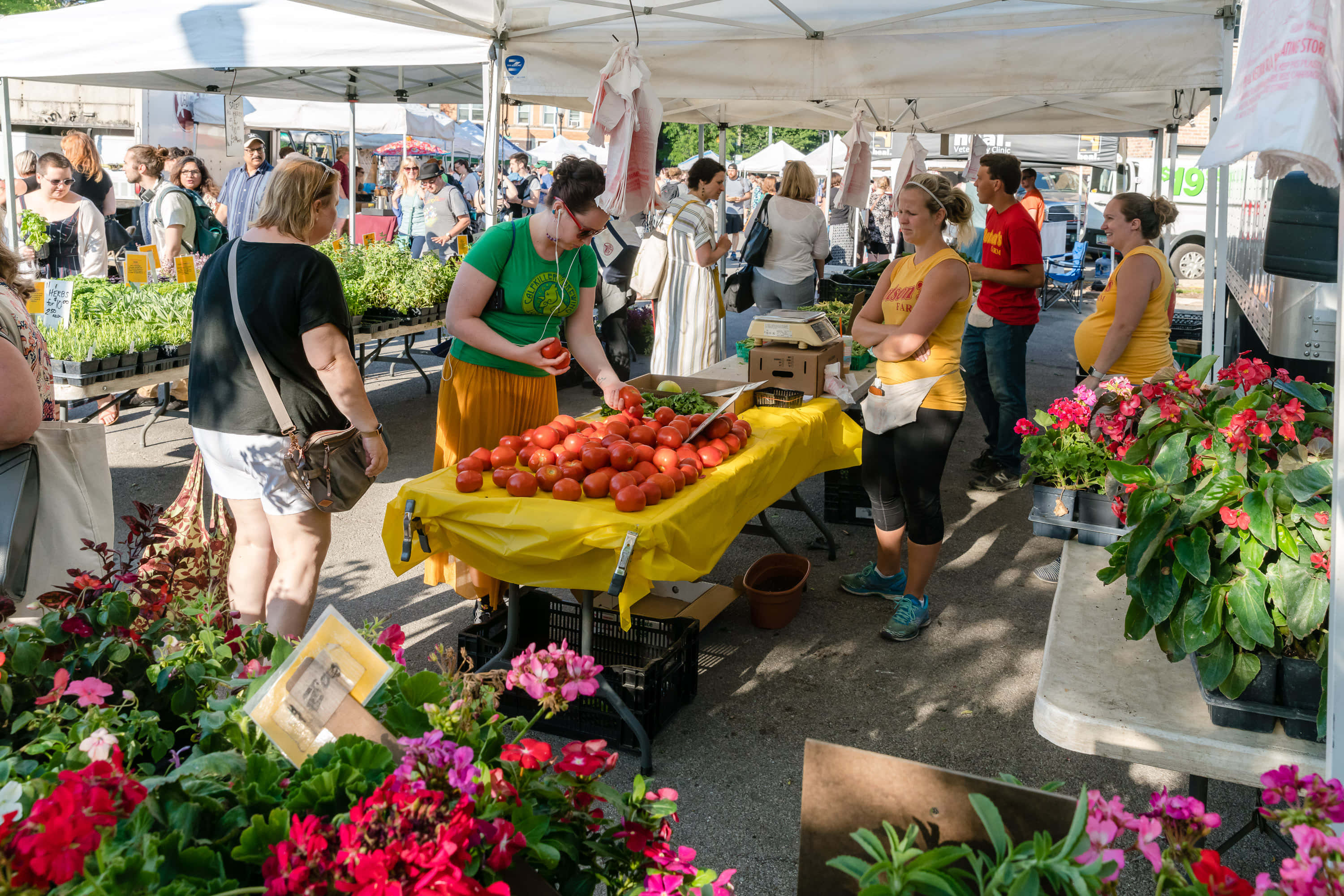 farmers market, white tents, fresh tomatoes, 2K Desktop Wallpaper