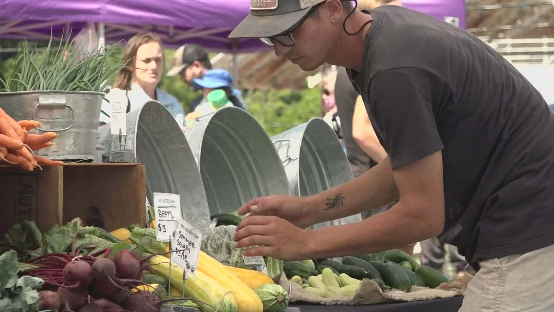 farmers market, zucchini, cap, Full HD Desktop Wallpaper