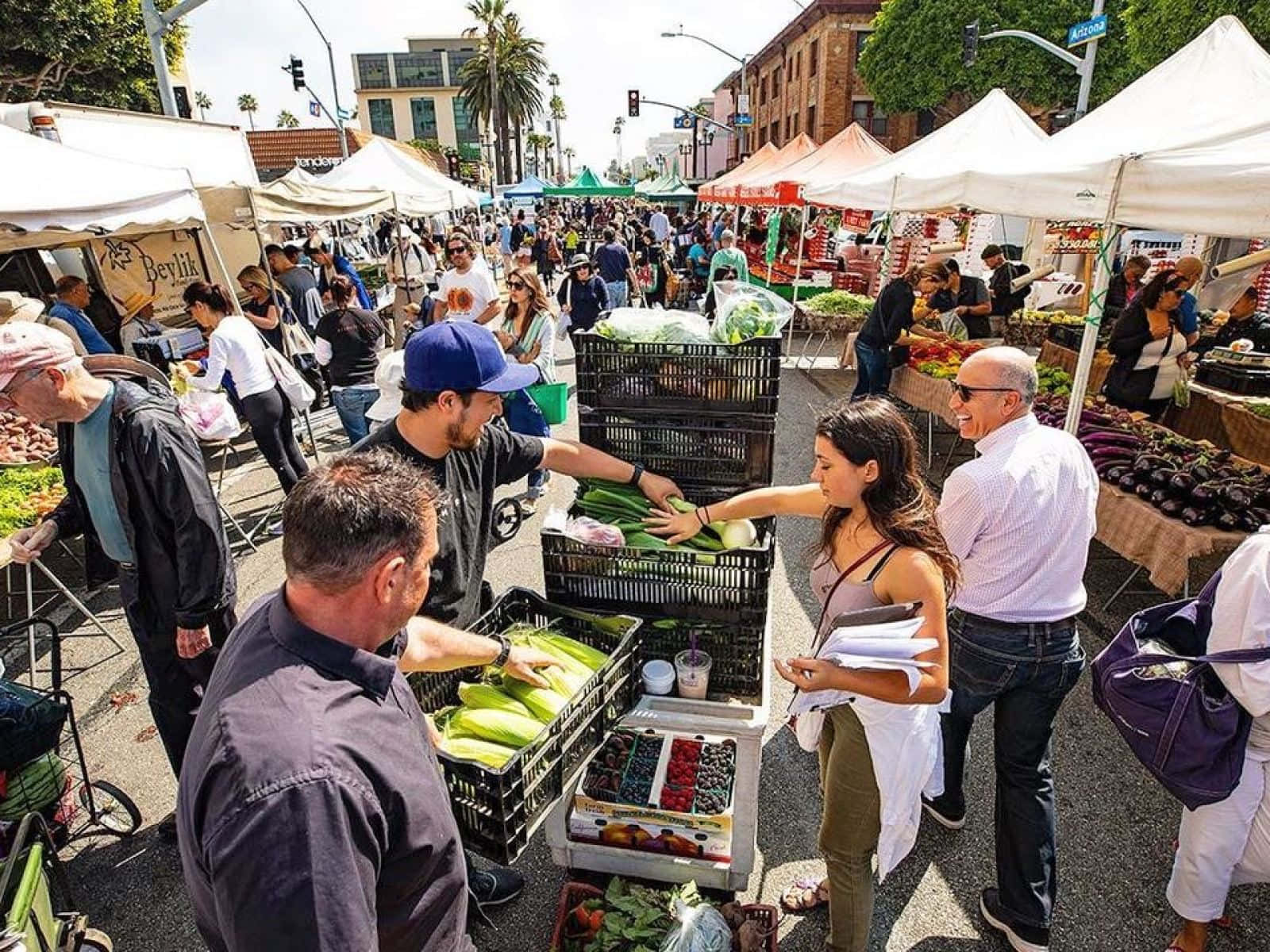 Farmers Market, sunny street, white tents, HD Desktop Wallpaper