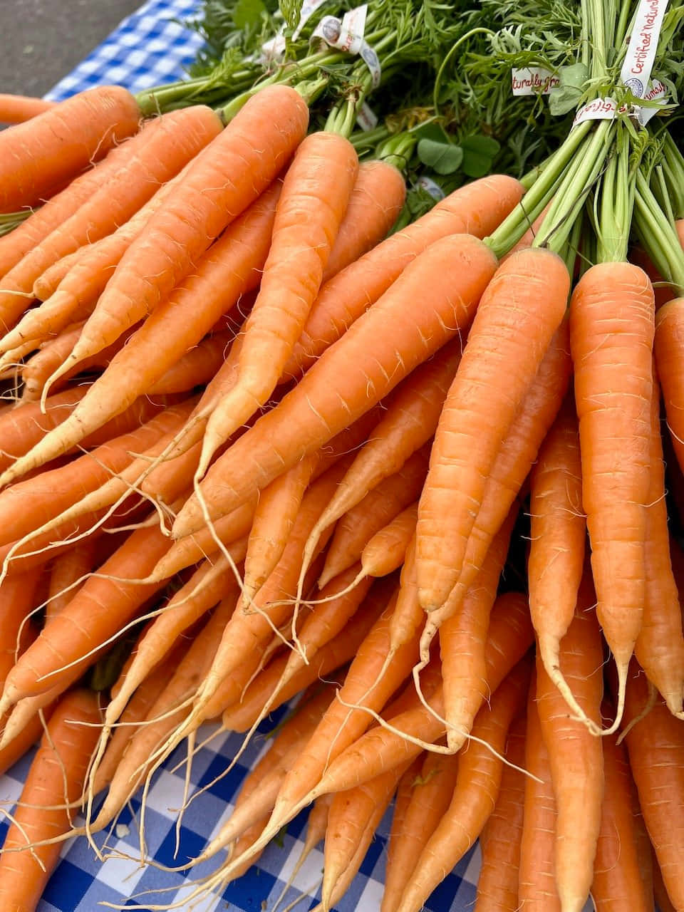 Farmers Market, orange carrots, green tops, HD Phone Wallpaper