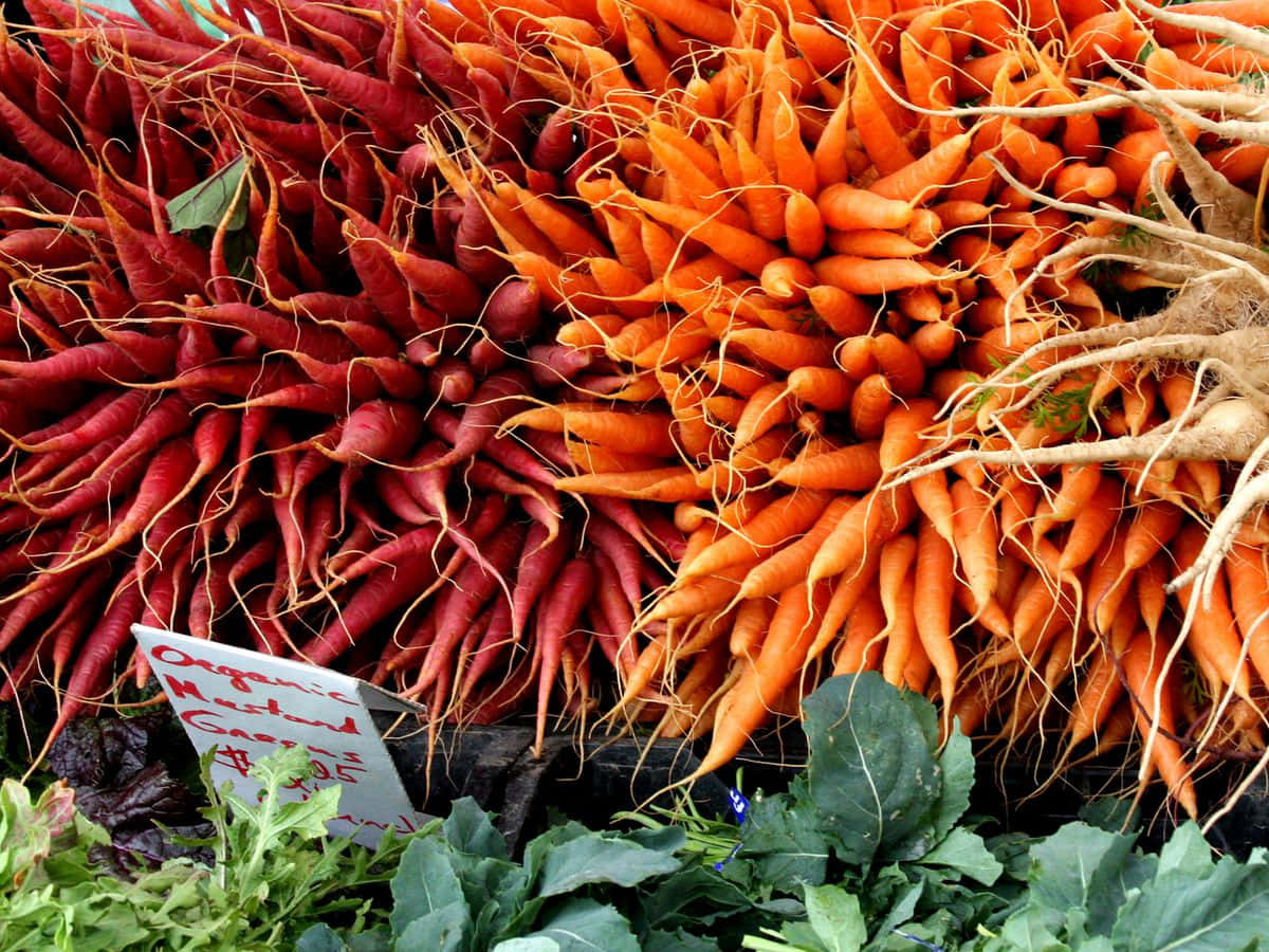 Farmers Market, orange carrots, red carrots, SD Desktop Wallpaper