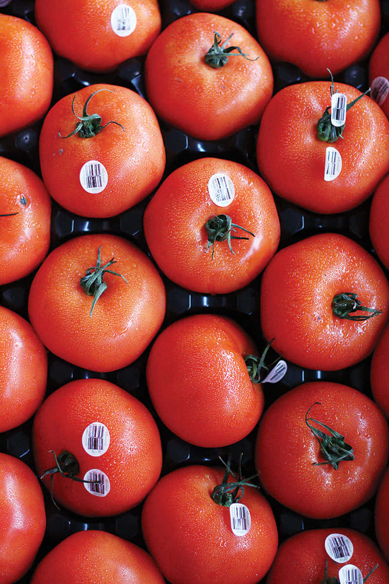 Farmers Market, vibrant red tomatoes, green stems, SD Phone Wallpaper