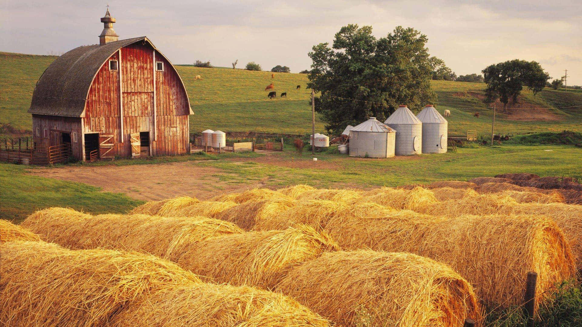 golden hay bales, sunlit field, weathered red barn, Full HD Desktop Wallpaper