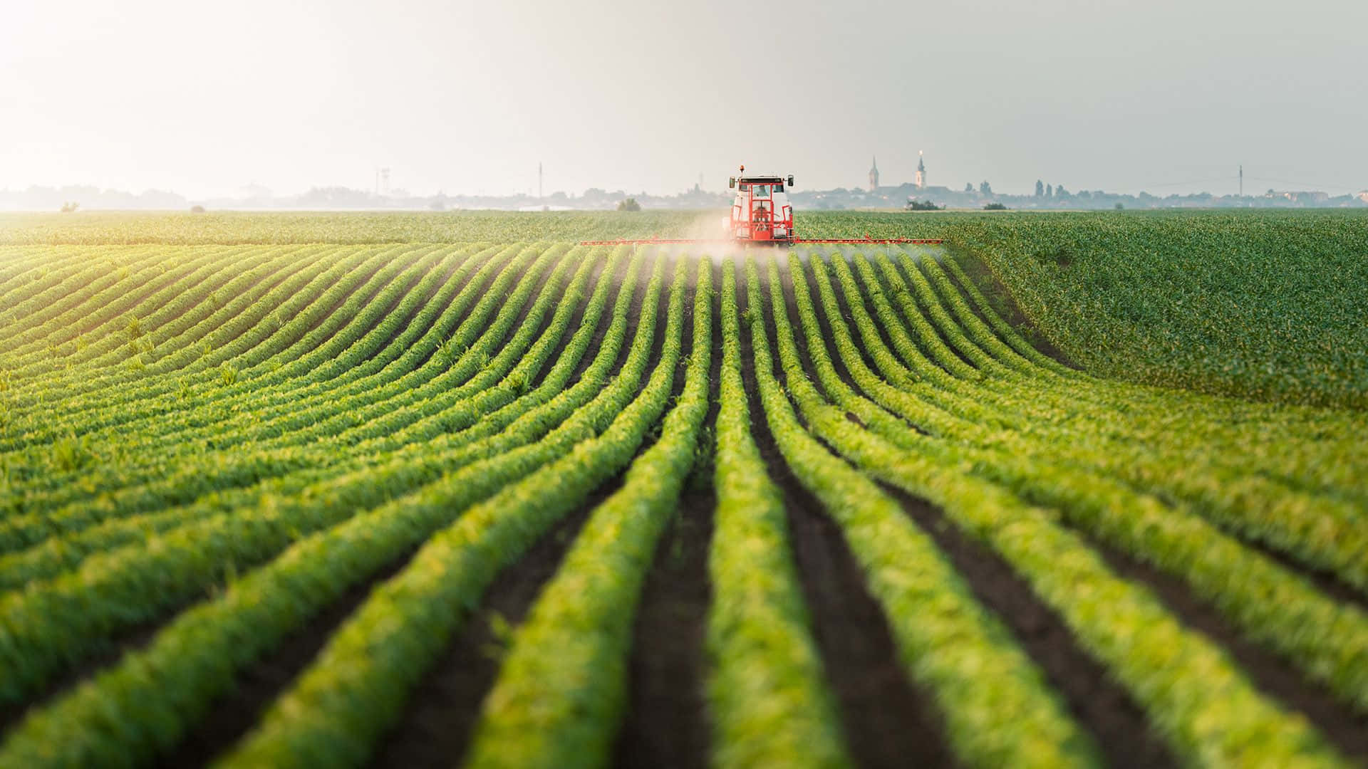 red tractor, green rows, vast field, Full HD Desktop Wallpaper