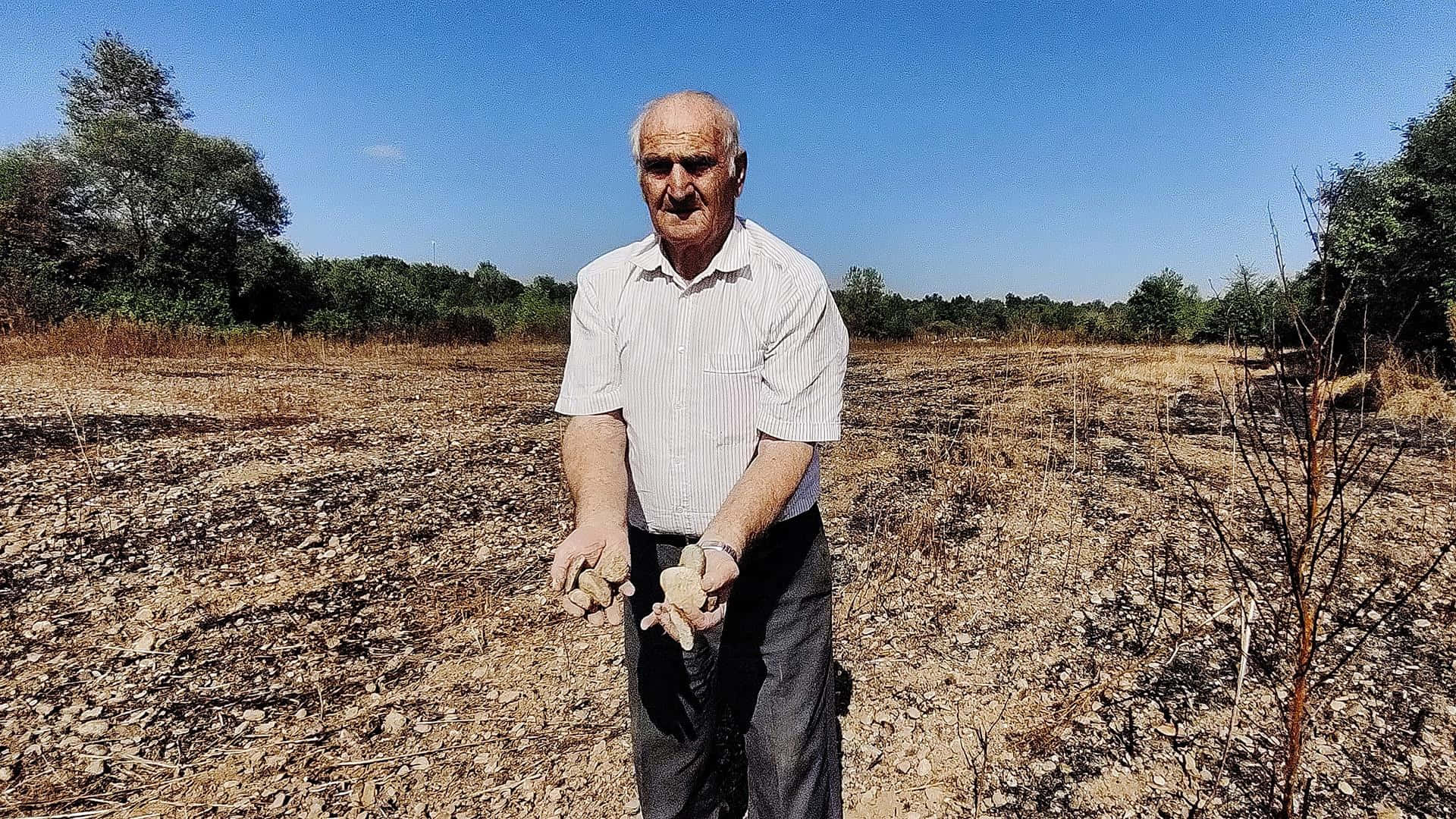 elderly farmer, scorched field, charred roots, Full HD Desktop Wallpaper