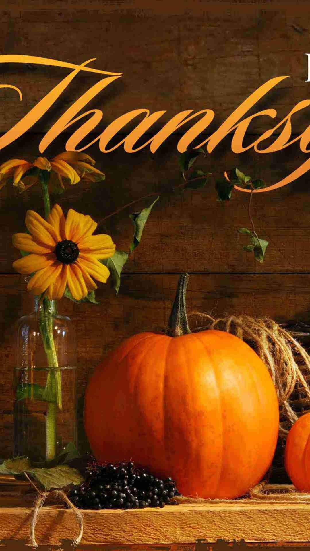 harvest time, golden fields, orange pumpkin, Full HD Phone Wallpaper