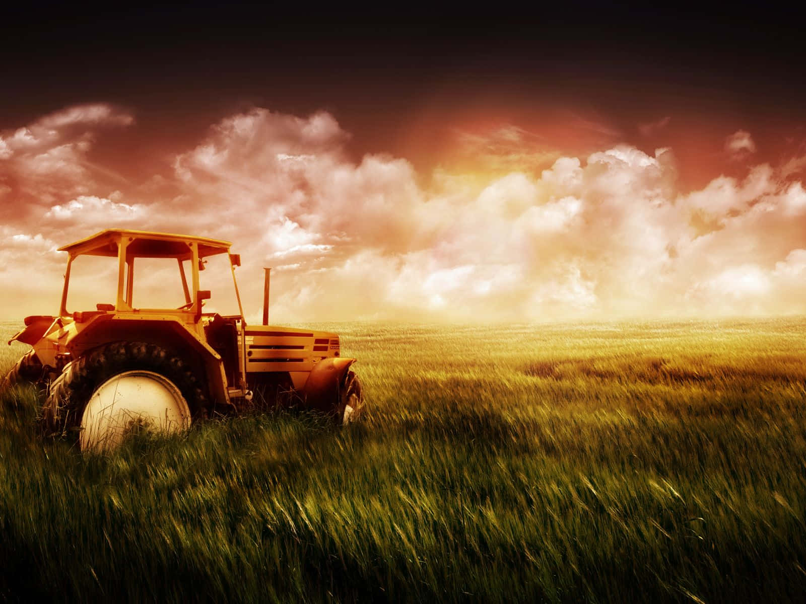 golden hour, vintage yellow tractor, golden wheat field, HD Desktop Wallpaper