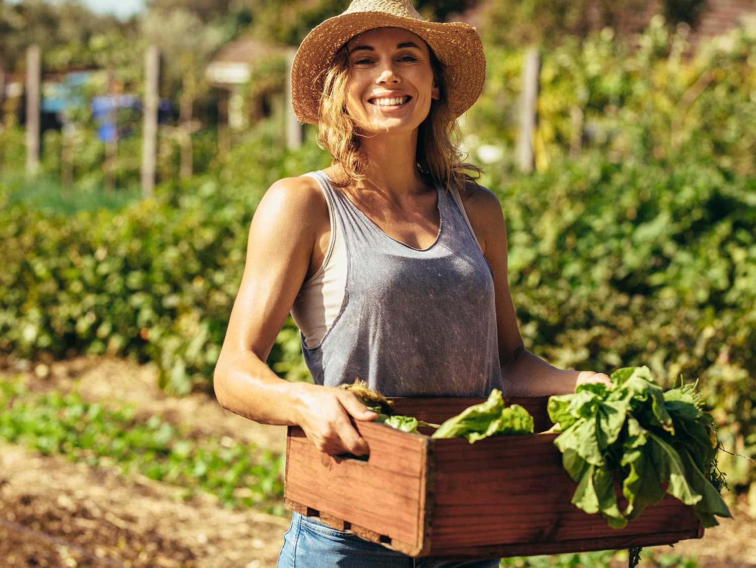 straw hat, wooden crate, fresh green leafy vegetables, HD Desktop Wallpaper