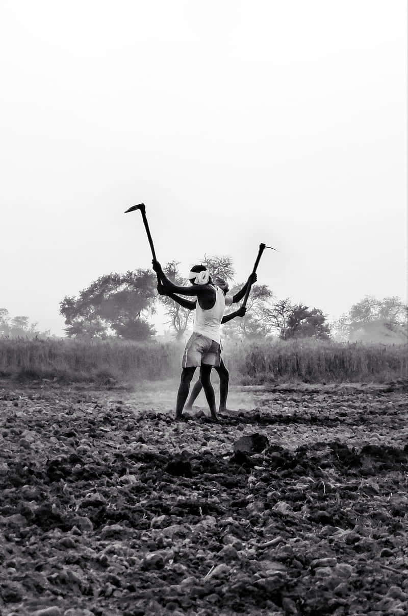 farmer, hoes, monochrome field, SD Phone Wallpaper