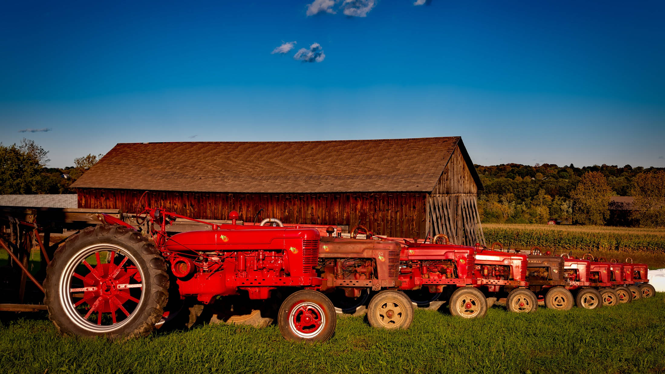 red tractor, vintage red tractors, grass, Full HD Desktop Wallpaper