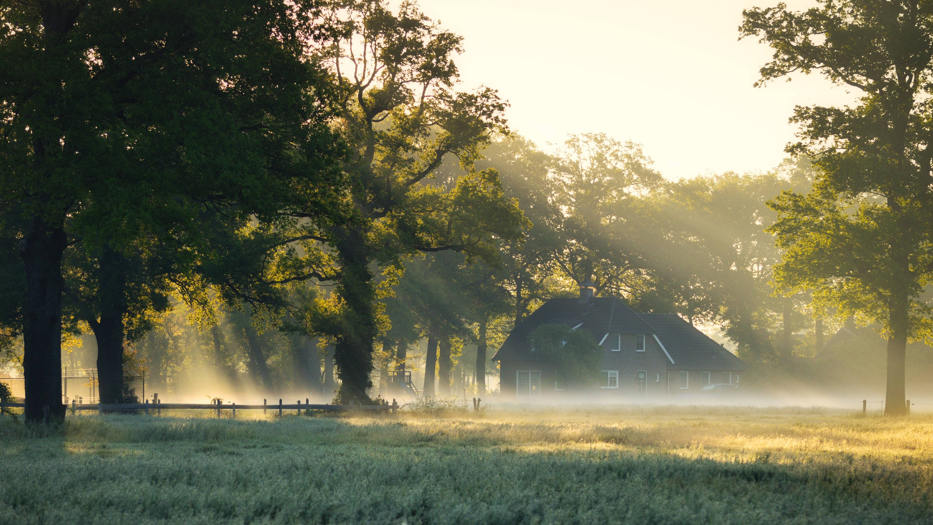 farmhouse, foggy forest, misty trees, 2K Desktop Wallpaper
