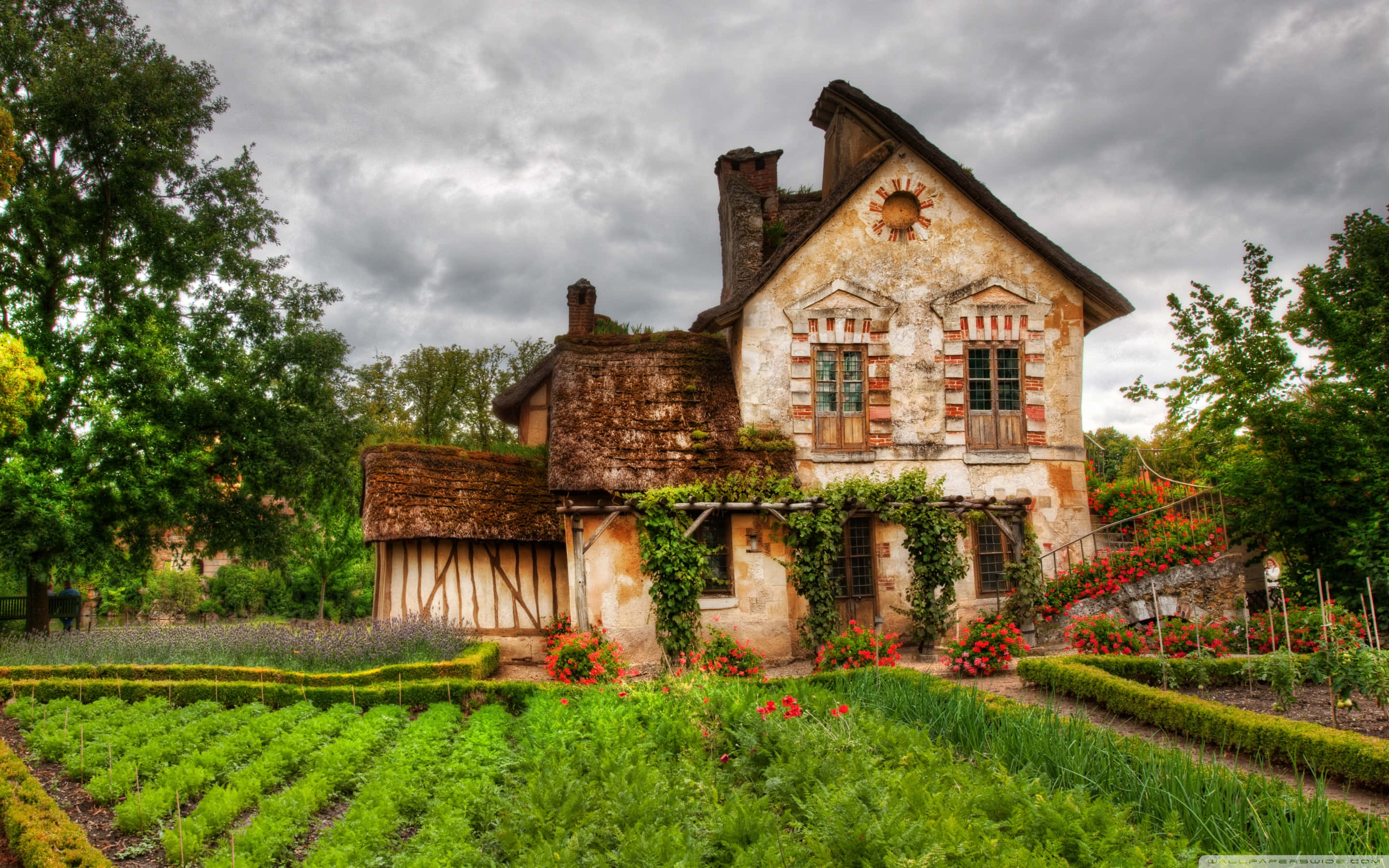 farmhouse, ivy-covered walls, vibrant flower beds, 2K Desktop Wallpaper